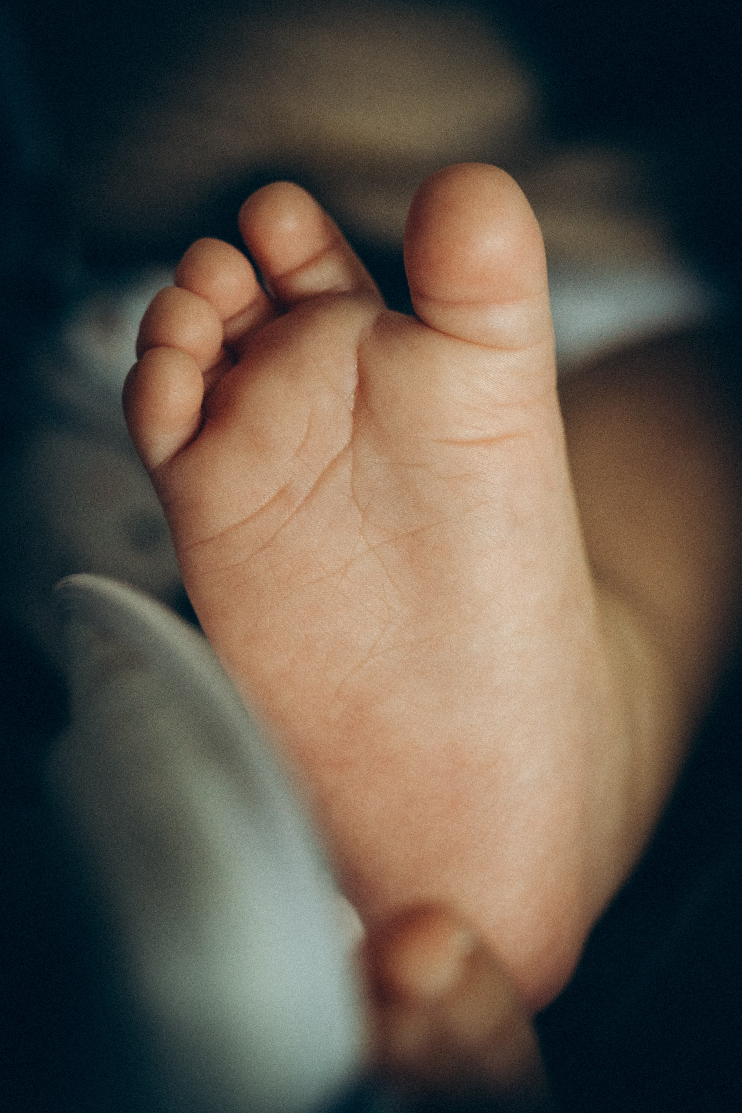 Аня, Кирилл и Ярослав. Семейный фотограф и фотограф на роды в Ростове-на-Дону Мухина Виктория