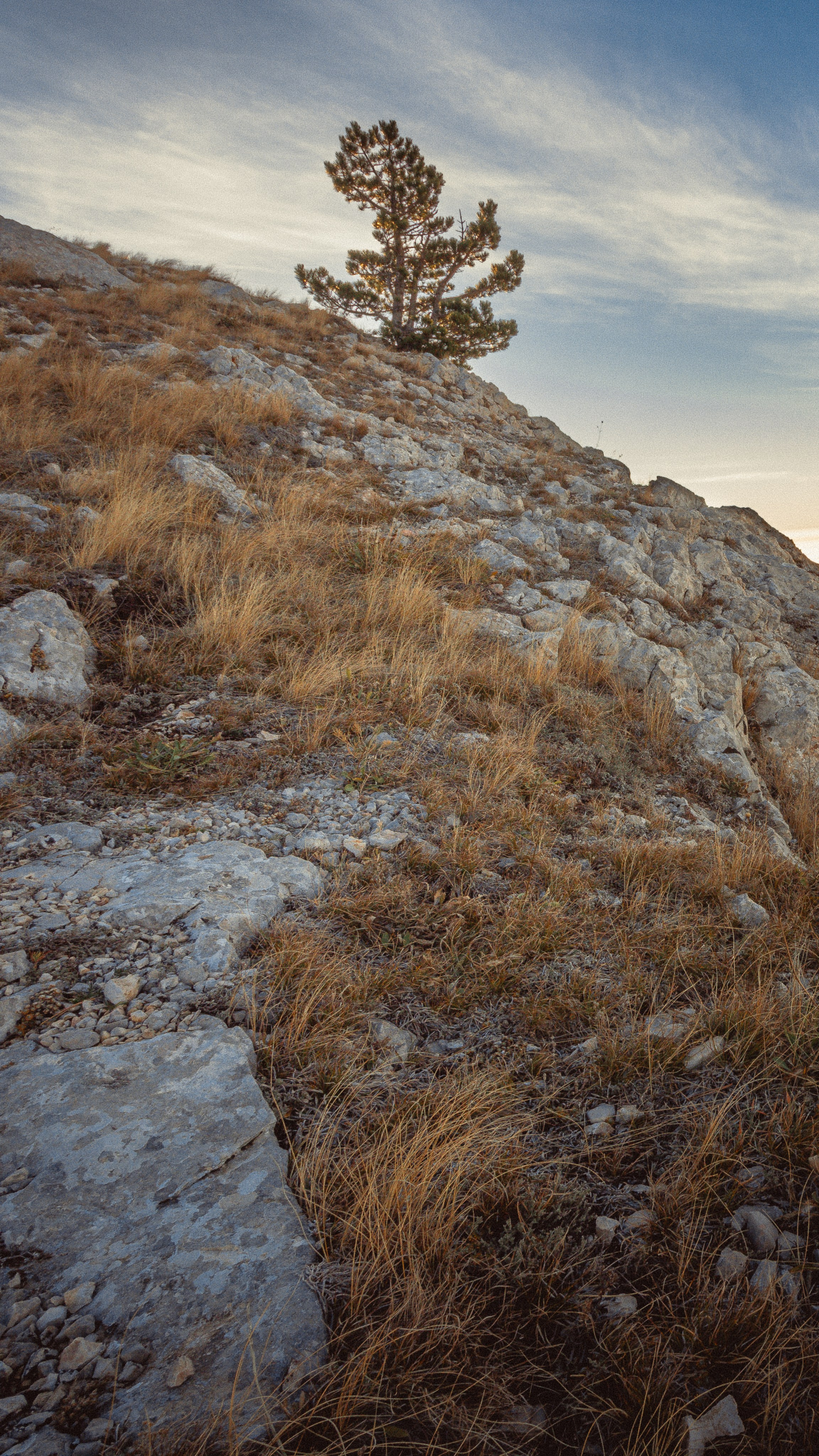 Пейзажная фотография. Фотошкола ArtFotoLife для начинающих и продвинутых фотографов