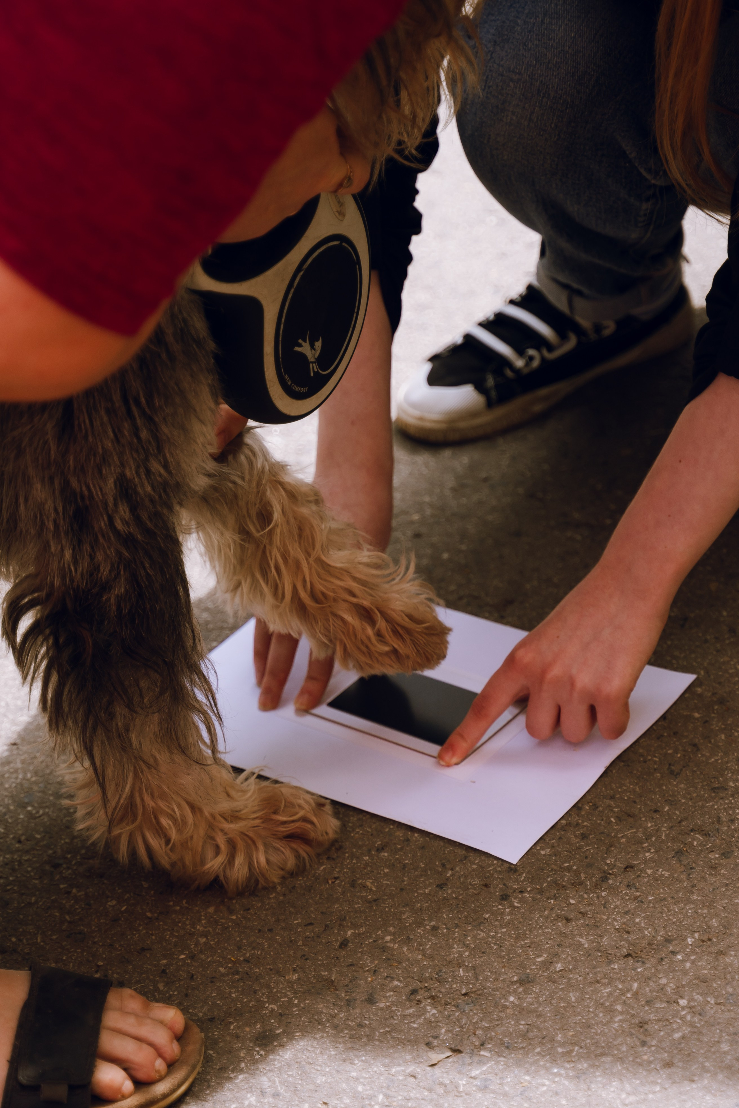 Площадка фестиваля «Мампус и его друзья» в Лесопарке 2025. Фотограф Надежда Погребняк | Рязань | Москва