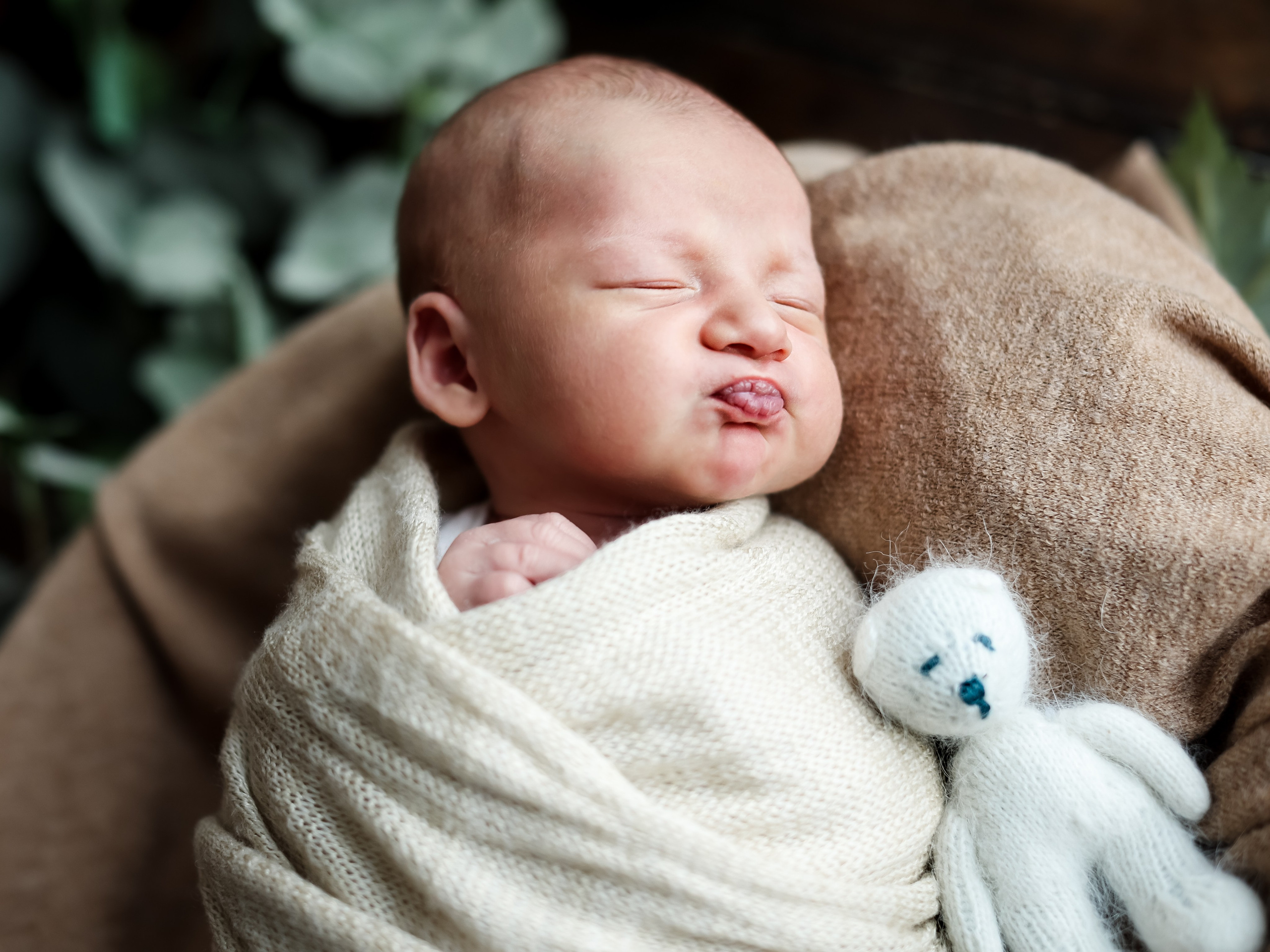 Леон. Семейный и детский фотограф Москва Елена Екимова 8926-895-38-86