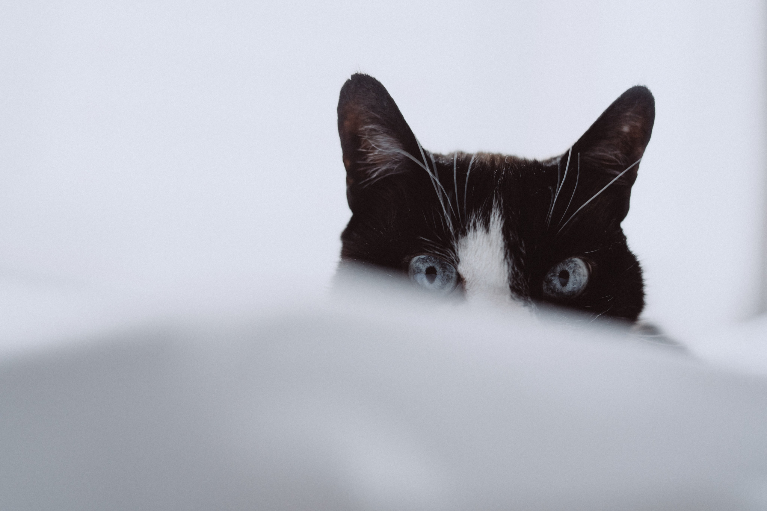 В ожидании. Семейный и женский фотограф в Санкт-Петербурге Татьяна Стружкина