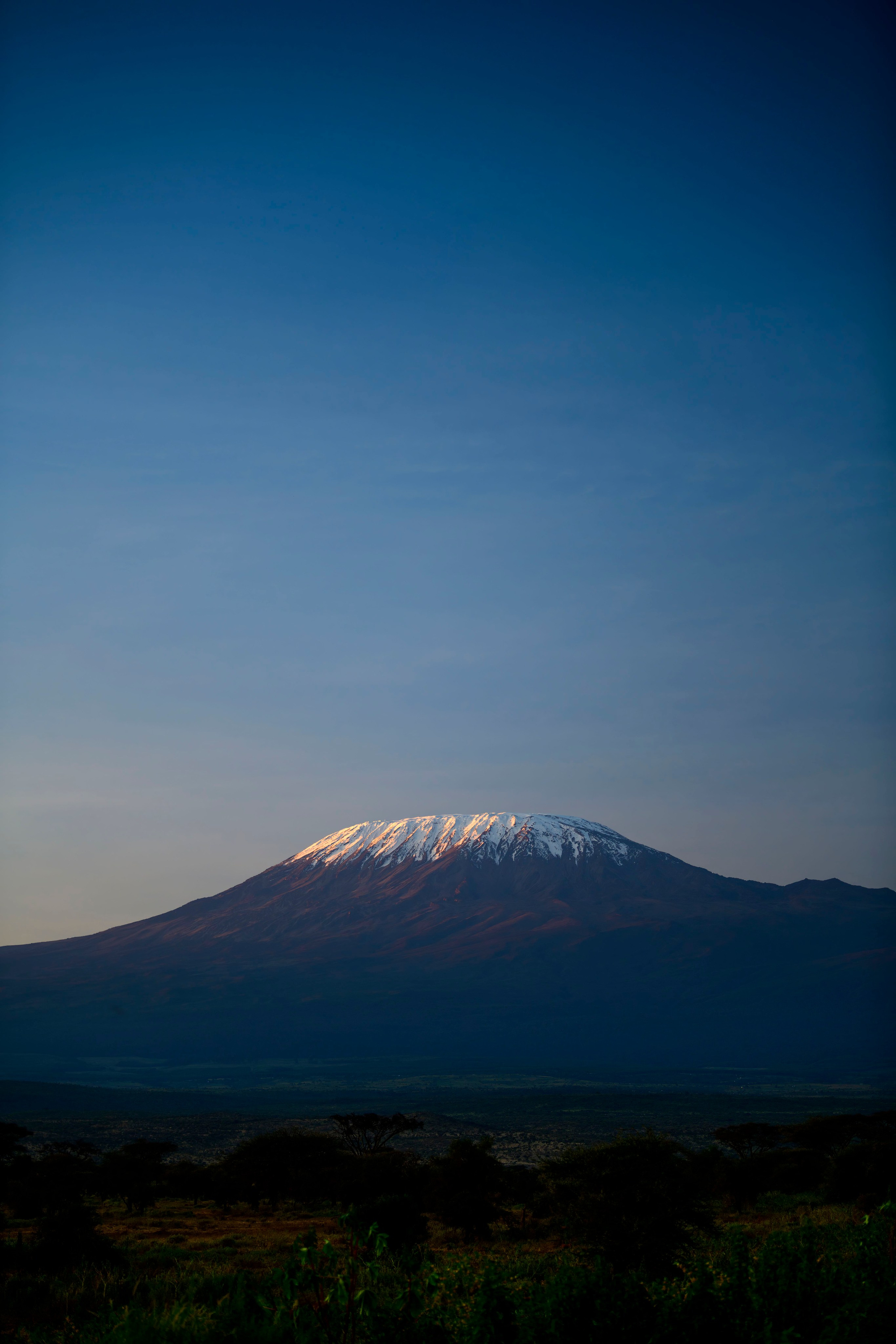 Кения. Wildlife photography by Sergey Puponin