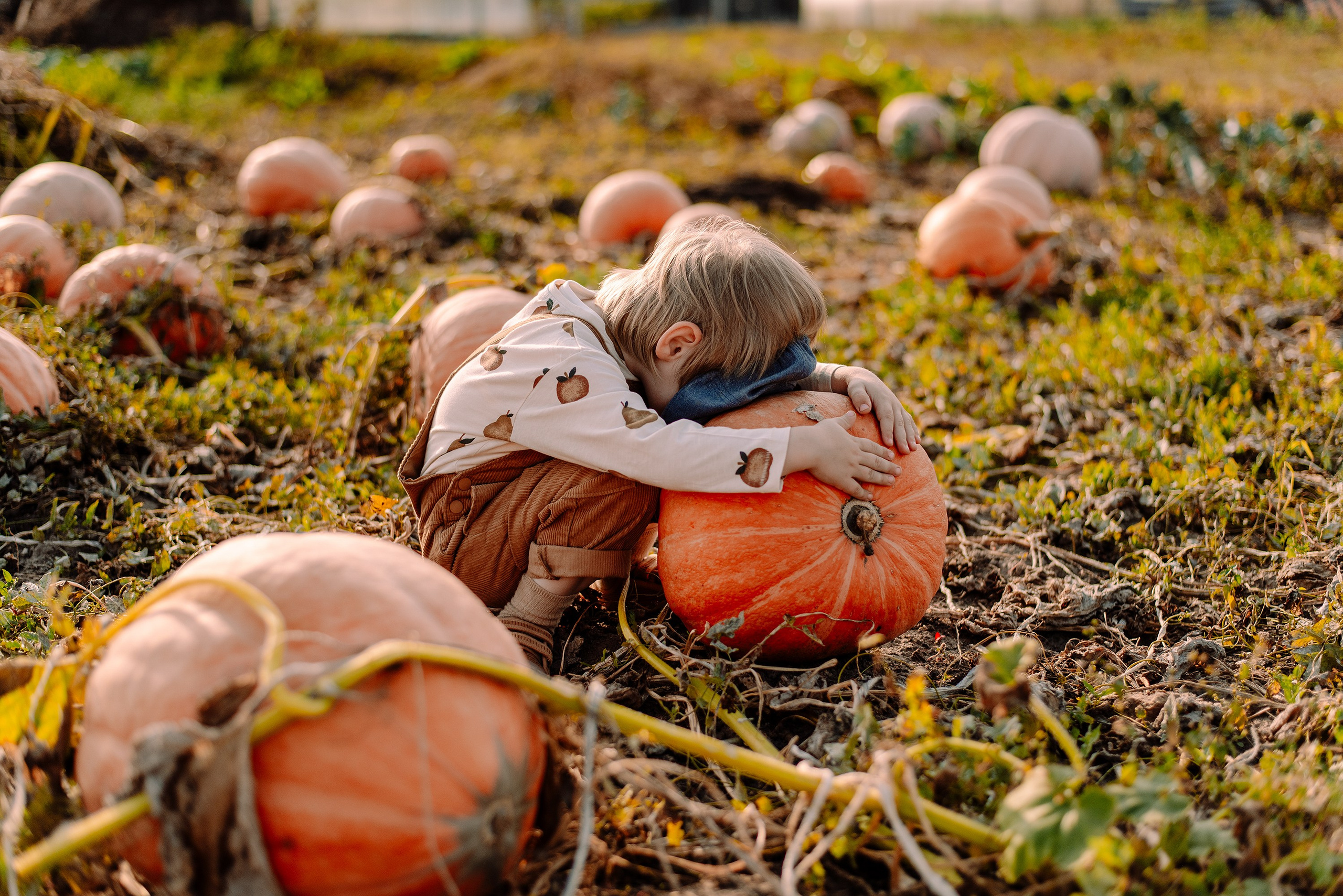Pumpkin. Семейный и свадебный фотограф в Рязани Лиза Голованова