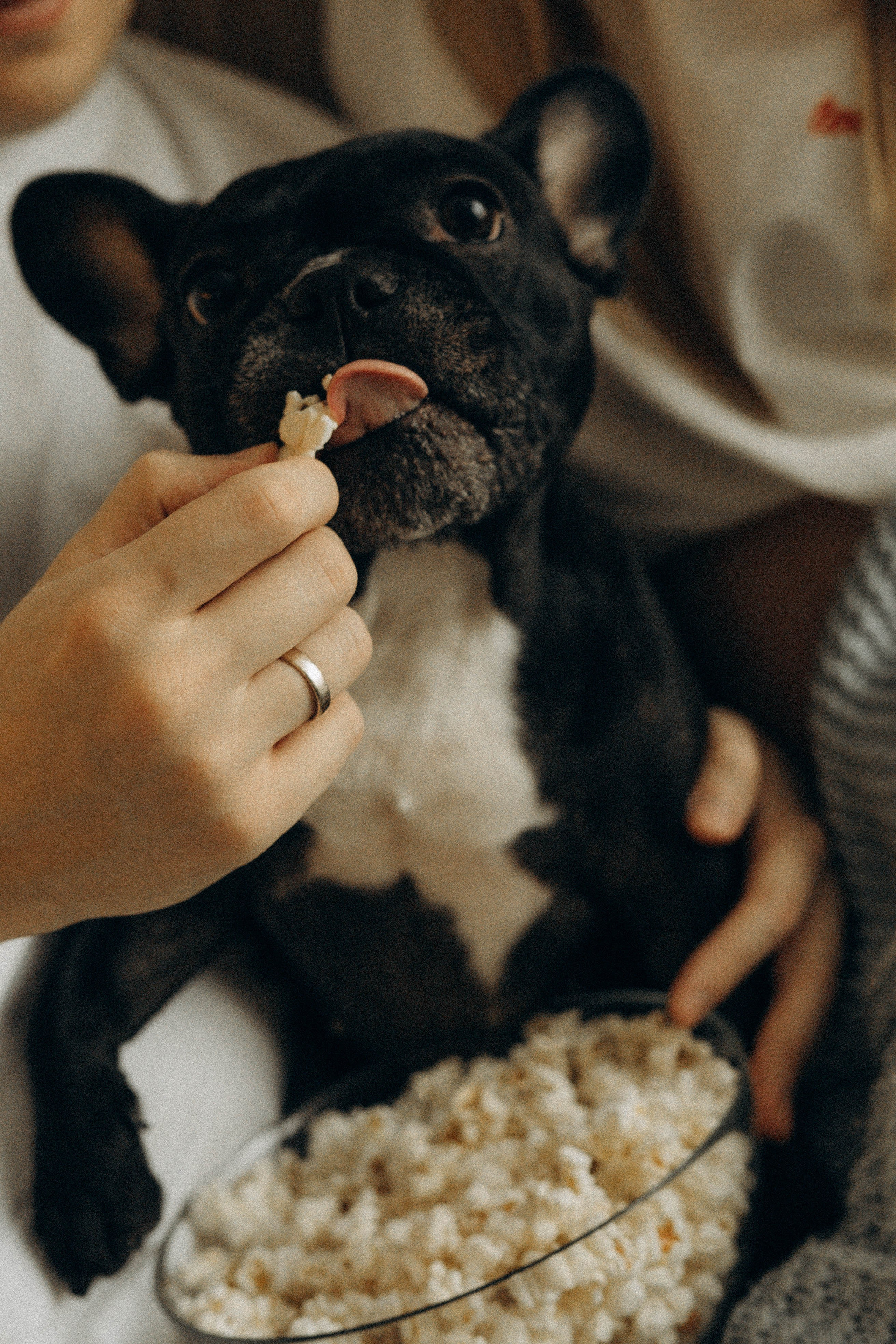 Женя и Максим. Семейный фотограф Юлия Котова