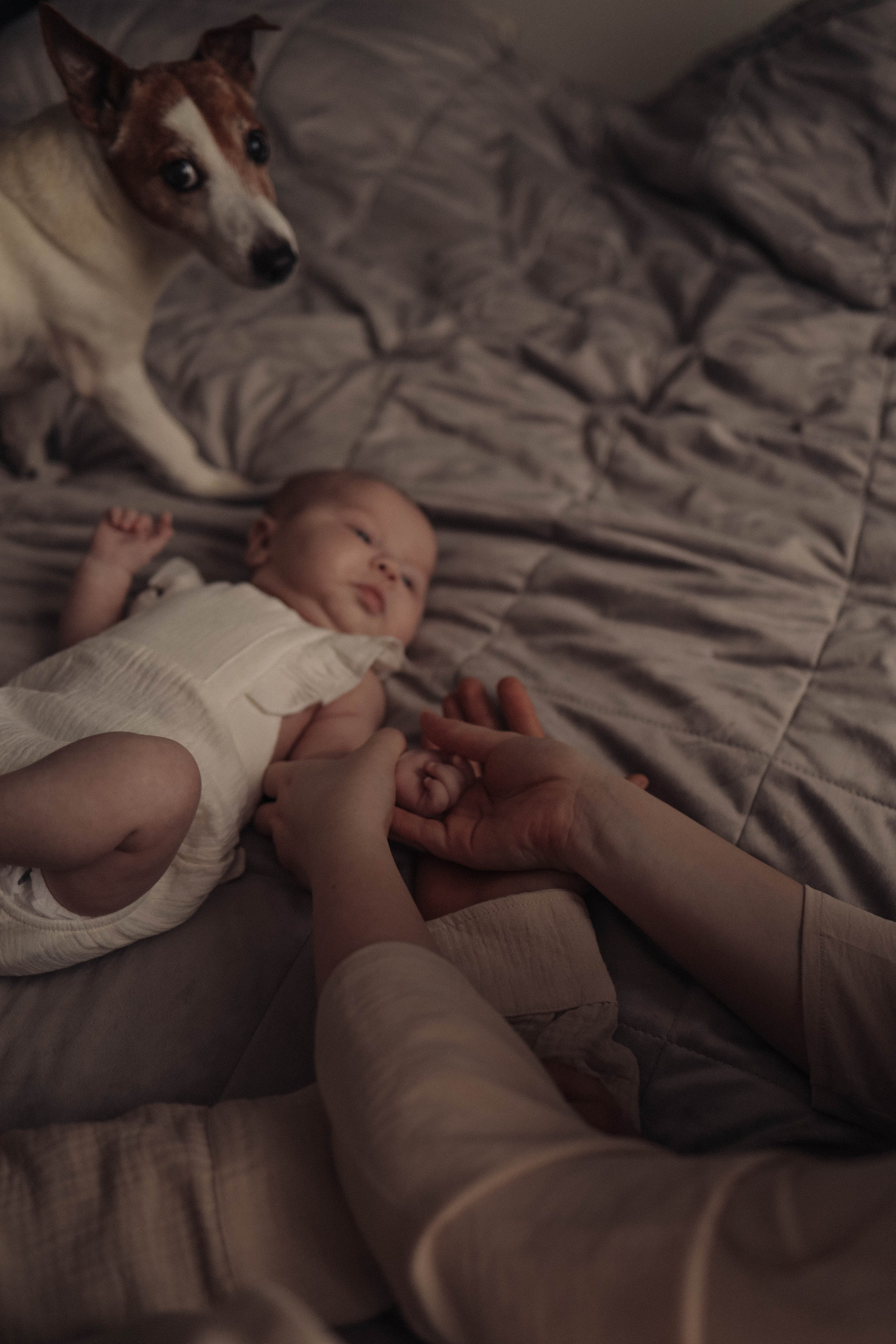 Истории о самых маленьких. Марина Мужиченкова. Семейная и детская фотосъёмка в Москве