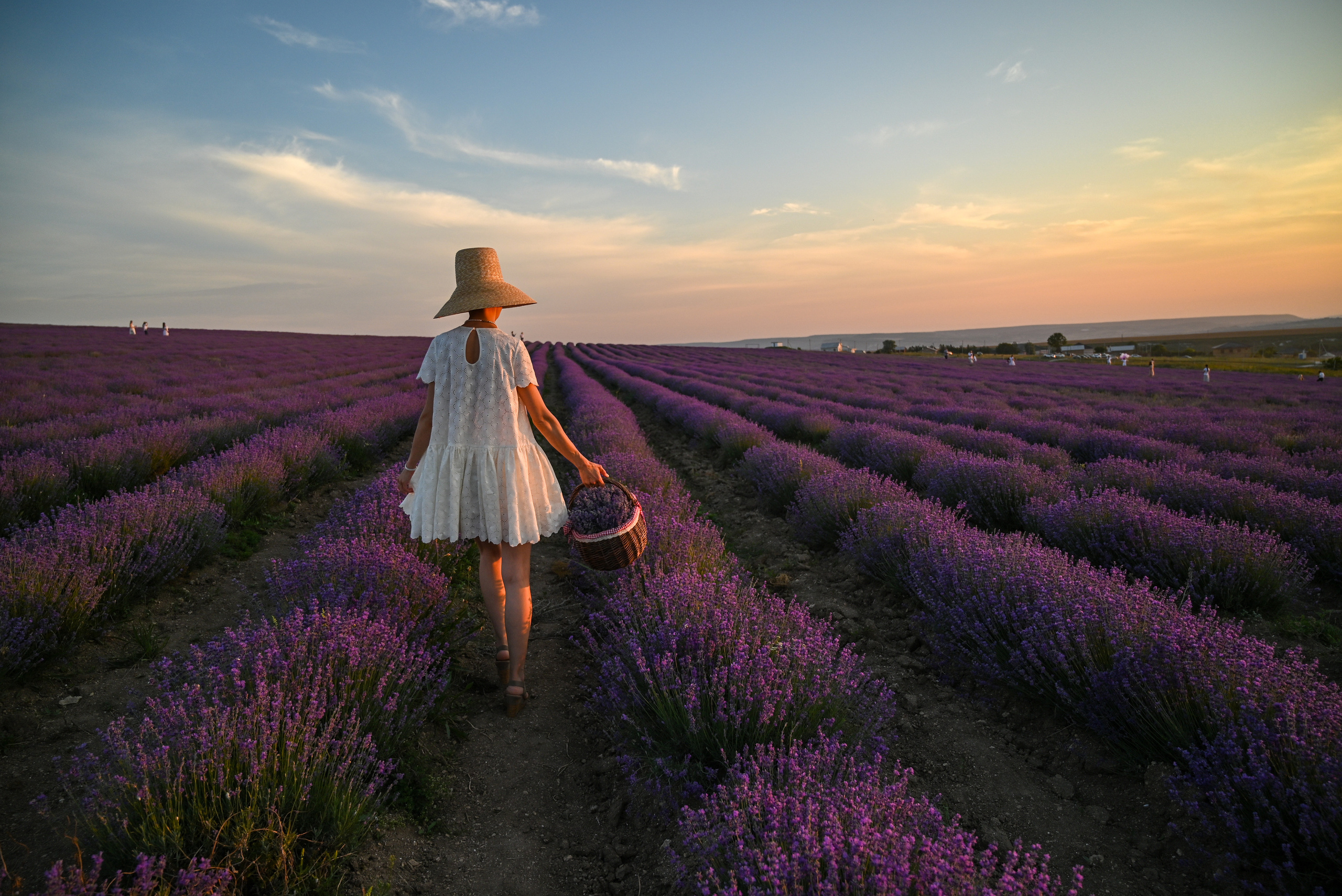 ГЛАВНАЯ. Свадебный и семейный фотограф в Санкт-Петербурге Ледовских Александр,