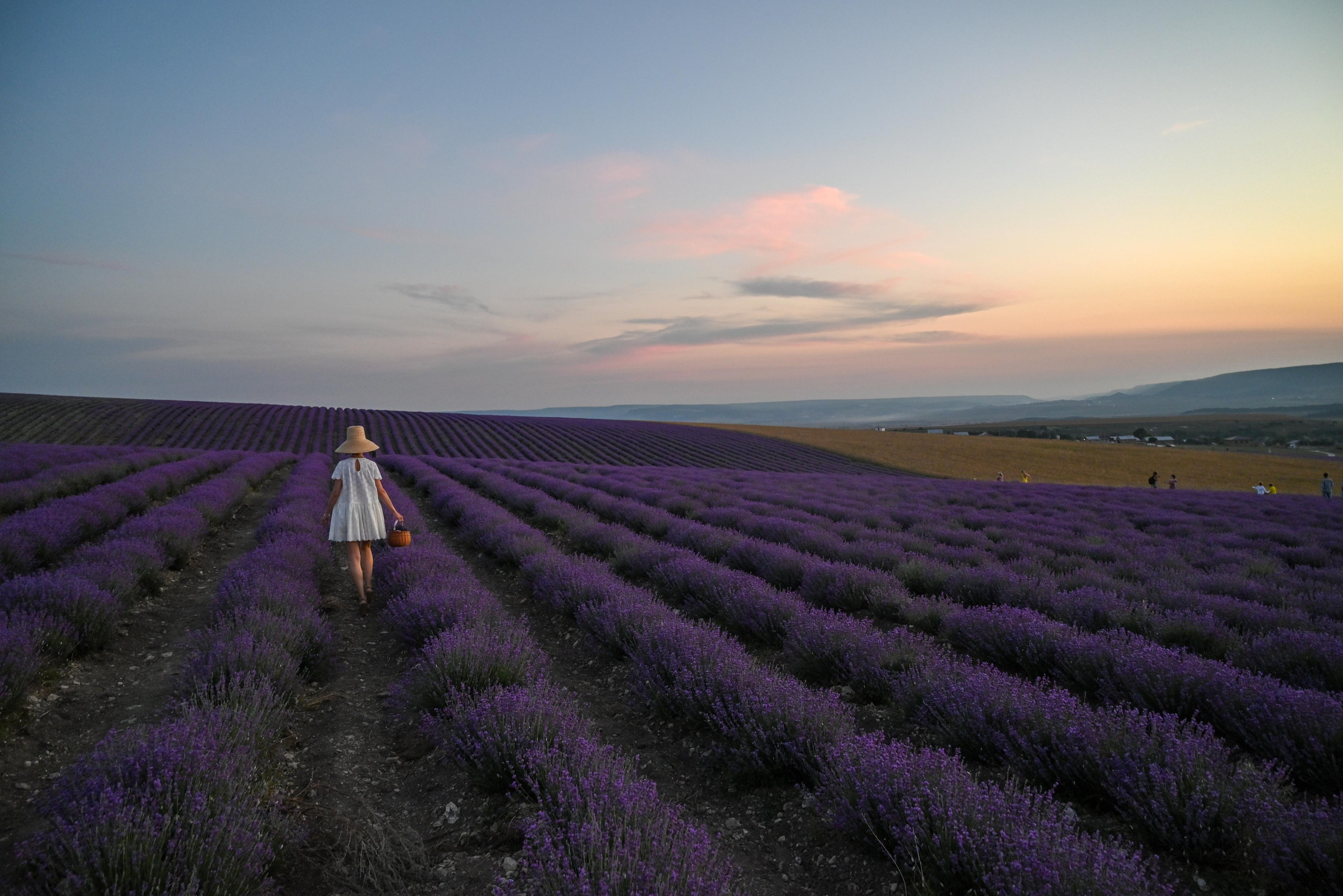 ГЛАВНАЯ. Свадебный и семейный фотограф в Санкт-Петербурге Ледовских Александр,