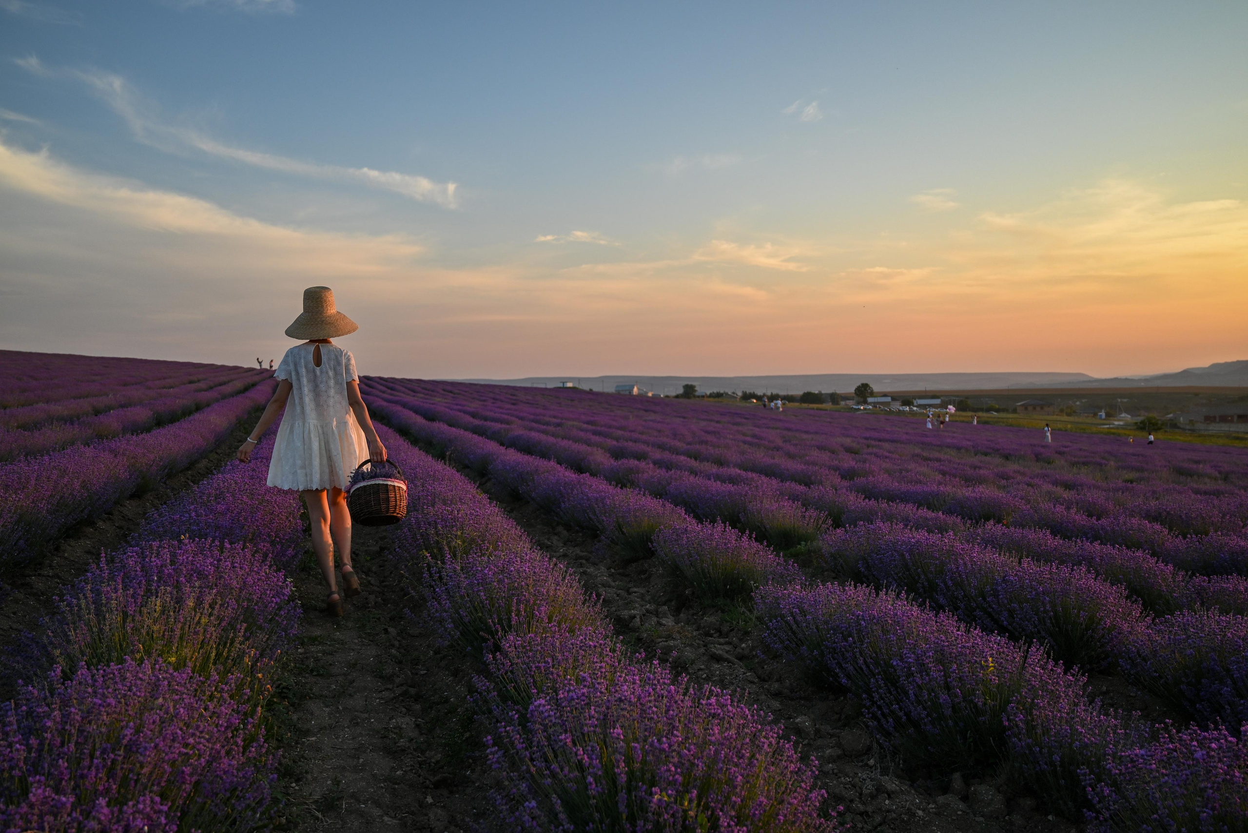 ГЛАВНАЯ. Свадебный и семейный фотограф в Санкт-Петербурге Ледовских Александр,