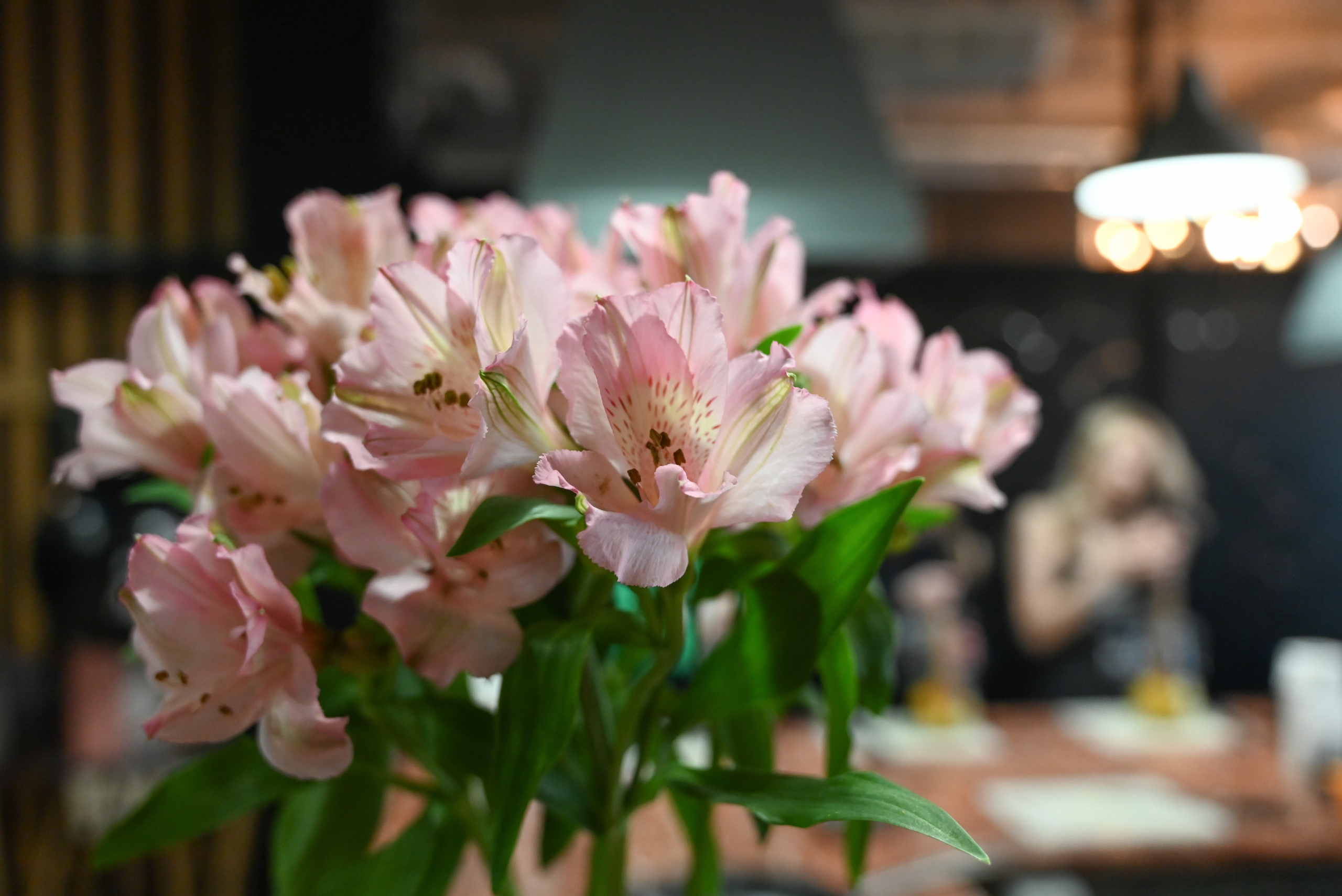 МЕРОПРИЯТИЯ. Свадебный и семейный фотограф в Санкт-Петербурге Ледовских Александр,