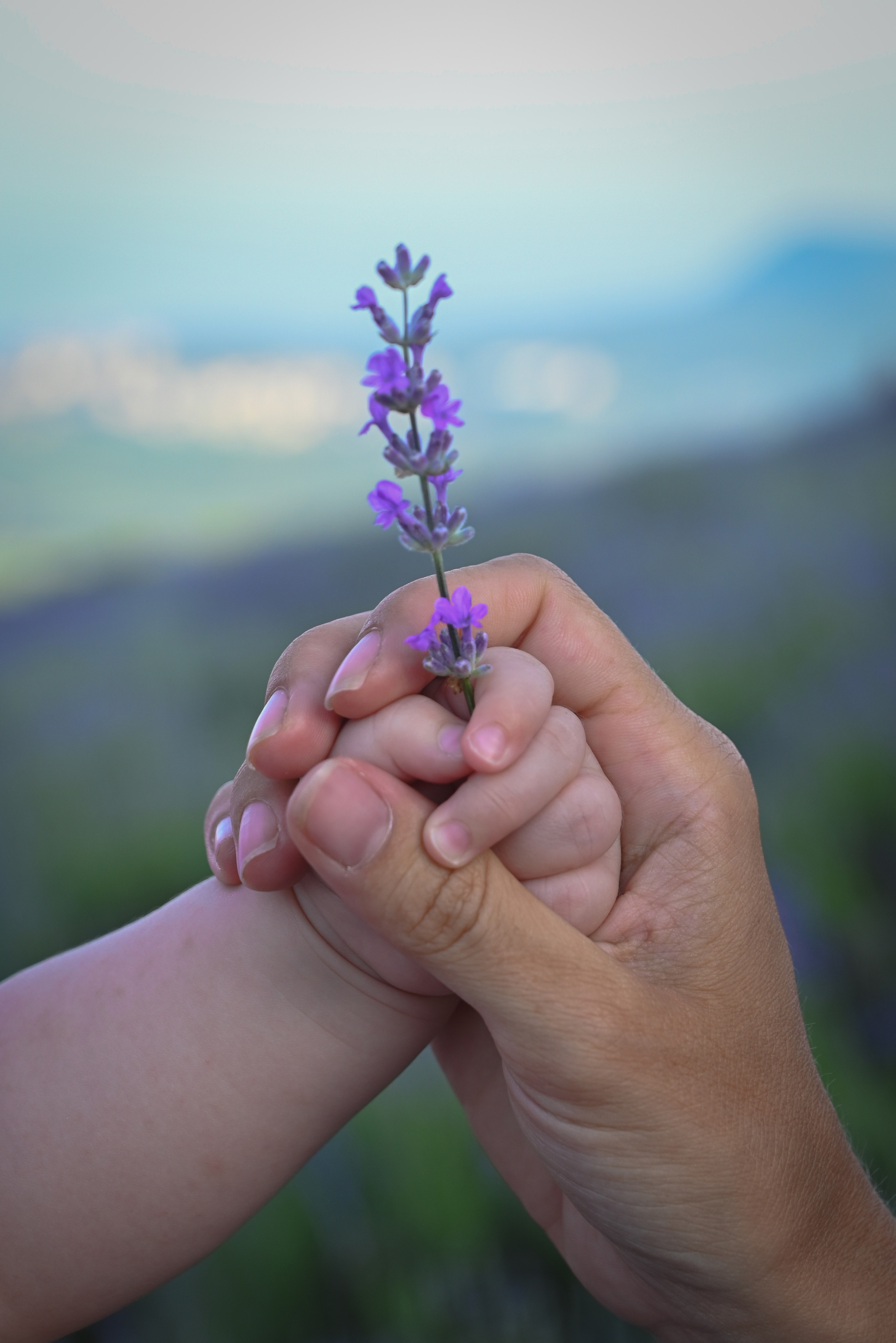ГЛАВНАЯ. Свадебный и семейный фотограф в Санкт-Петербурге Ледовских Александр,