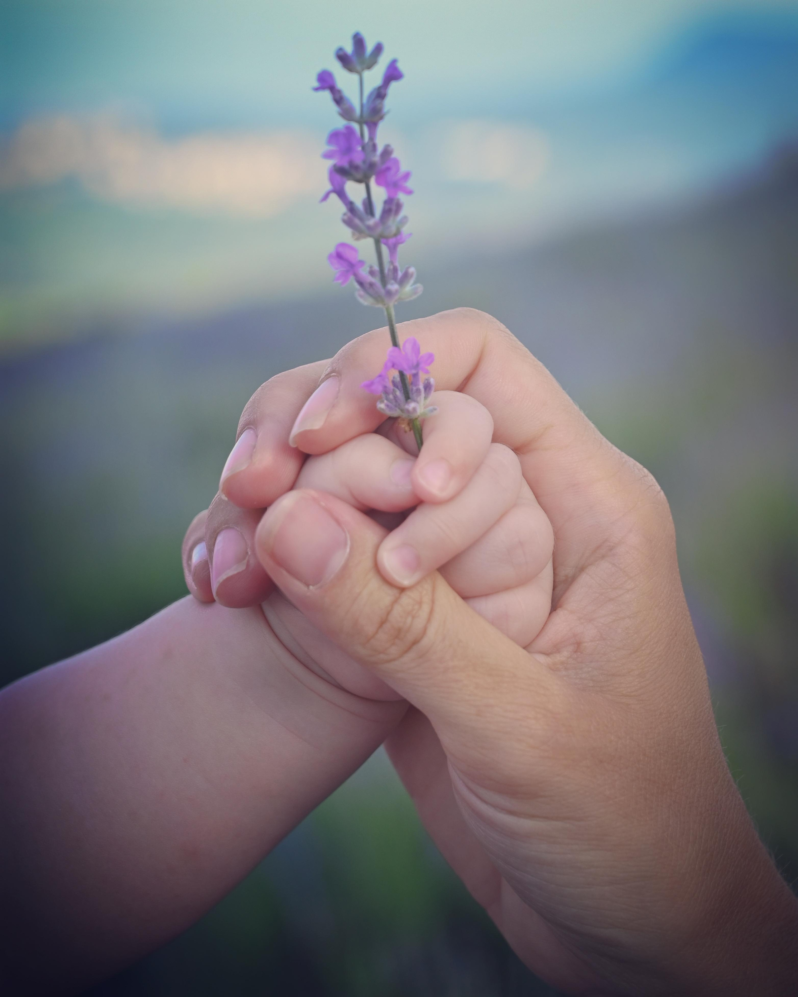 ГЛАВНАЯ. Свадебный и семейный фотограф в Санкт-Петербурге Ледовских Александр,