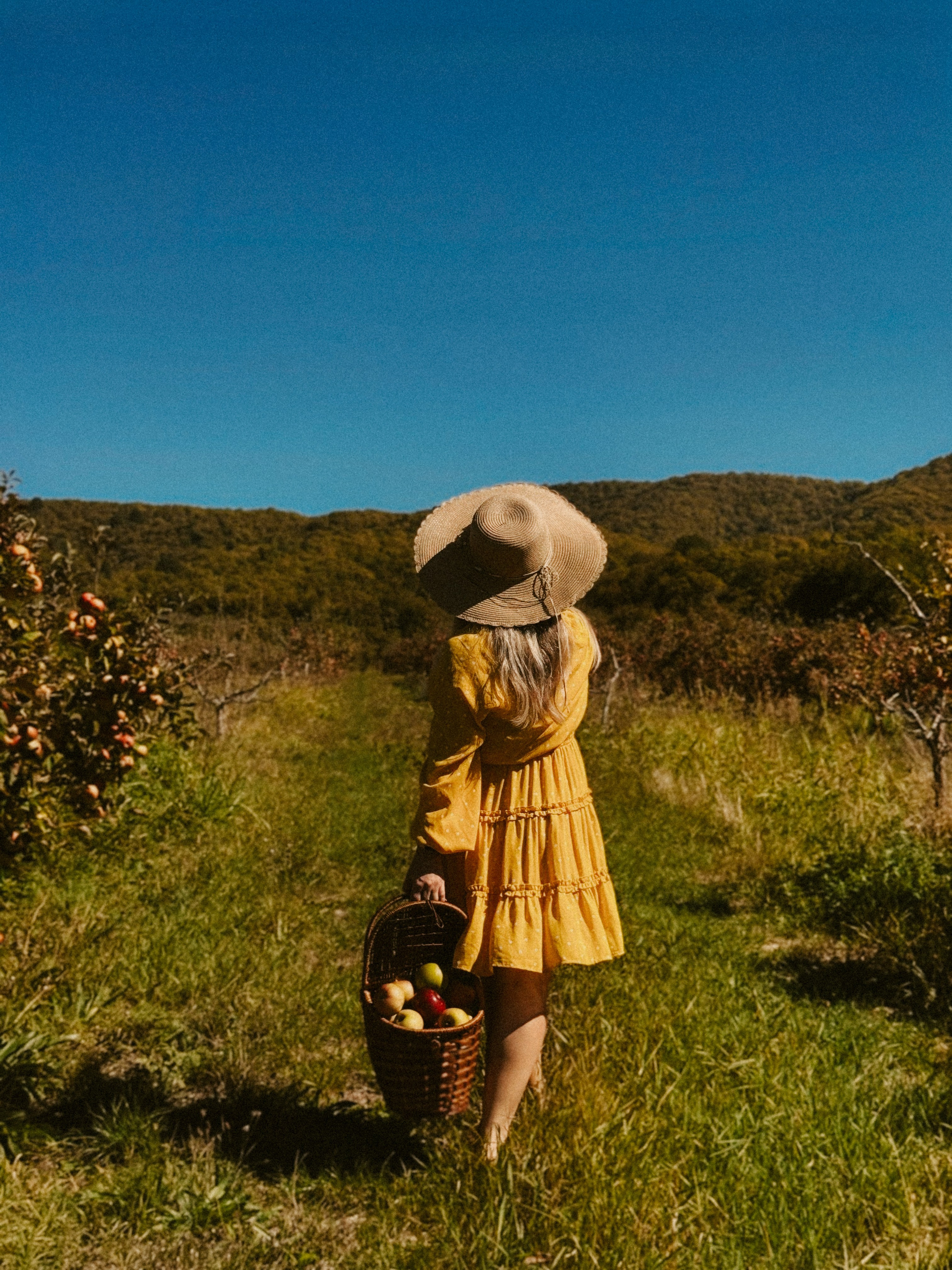 Ксюша Яблоки Сад. Inga Simonova | Семейный и детский фотограф у моря