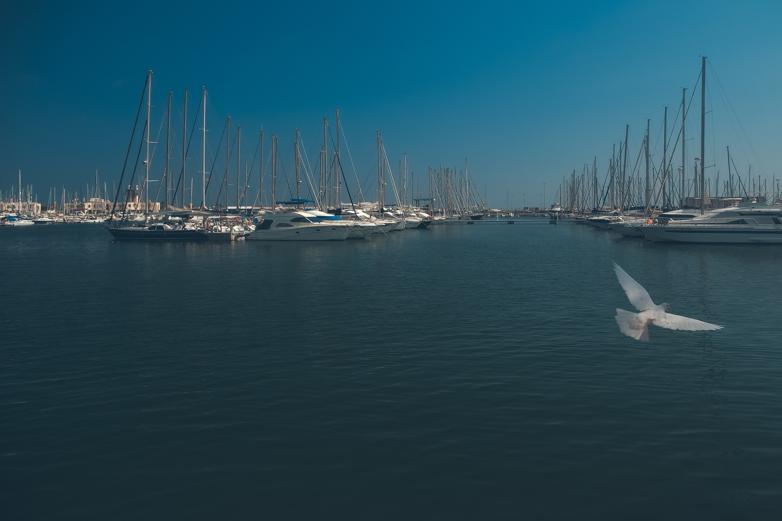 Испания. Свадебный фотограф Копков Геннадий