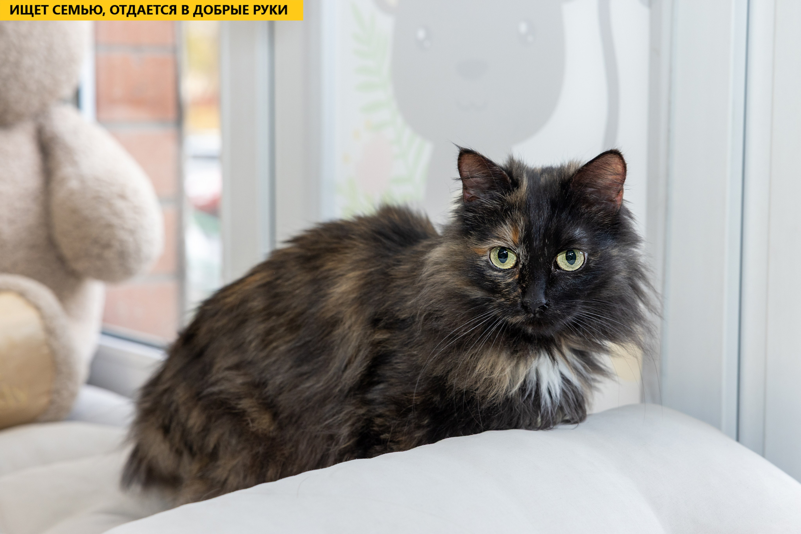 Рекламная съемка в Москве. Геннадий Степанов —фотограф в Москве