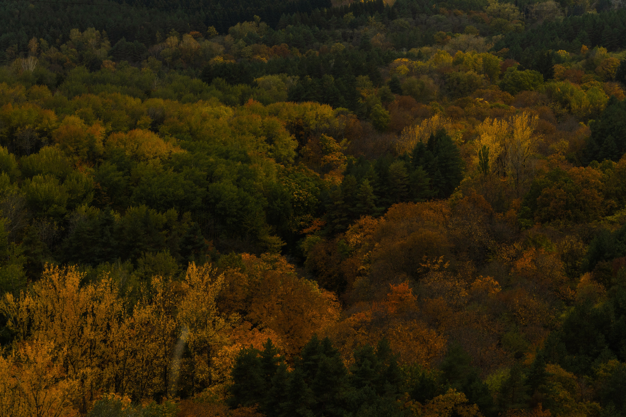 Кисловодск. Портретный и уличный фотограф в Москве Таня Корнеева