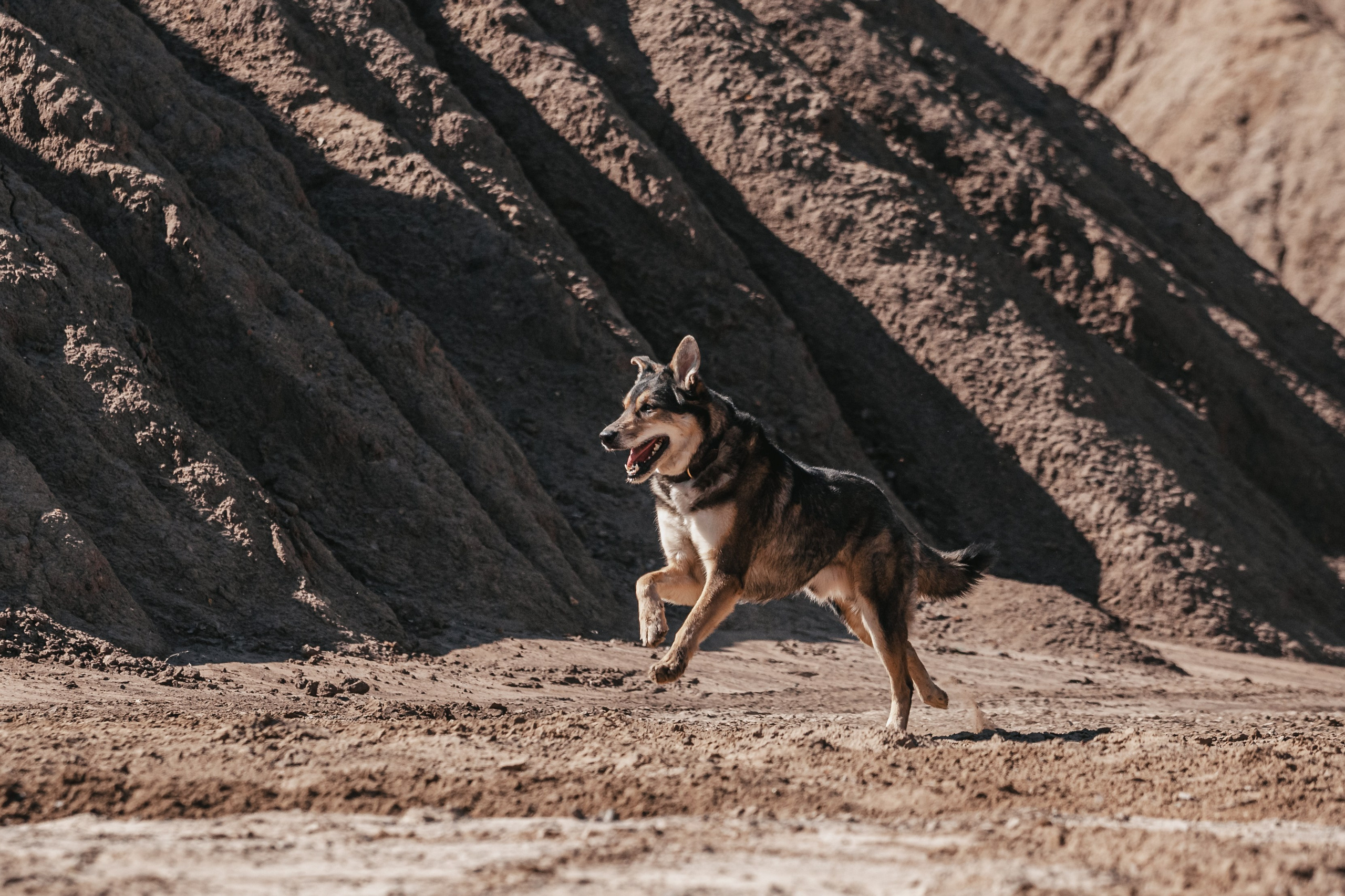 Кондуки. Фотограф-анималист Татьяна Степанова