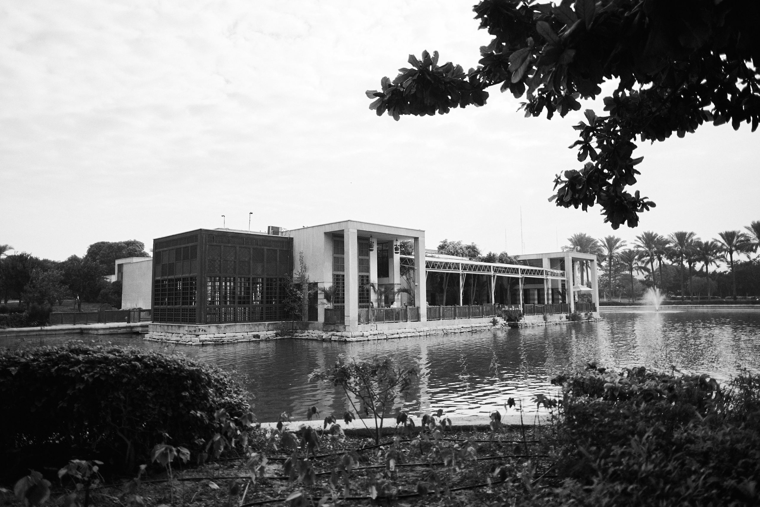 Другое 4. Jorgis — фотограф в Хургаде / обучение фотографии