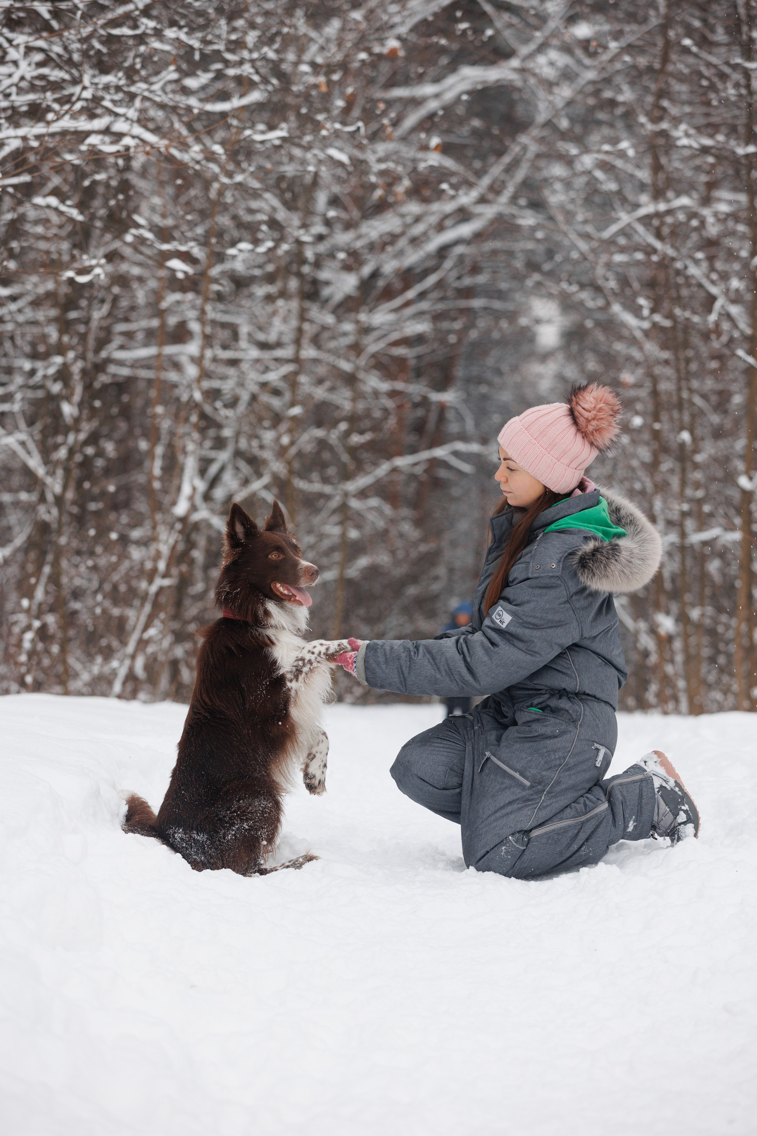 Даша и компания. Фотограф анималист Кристина Карпова, Москва