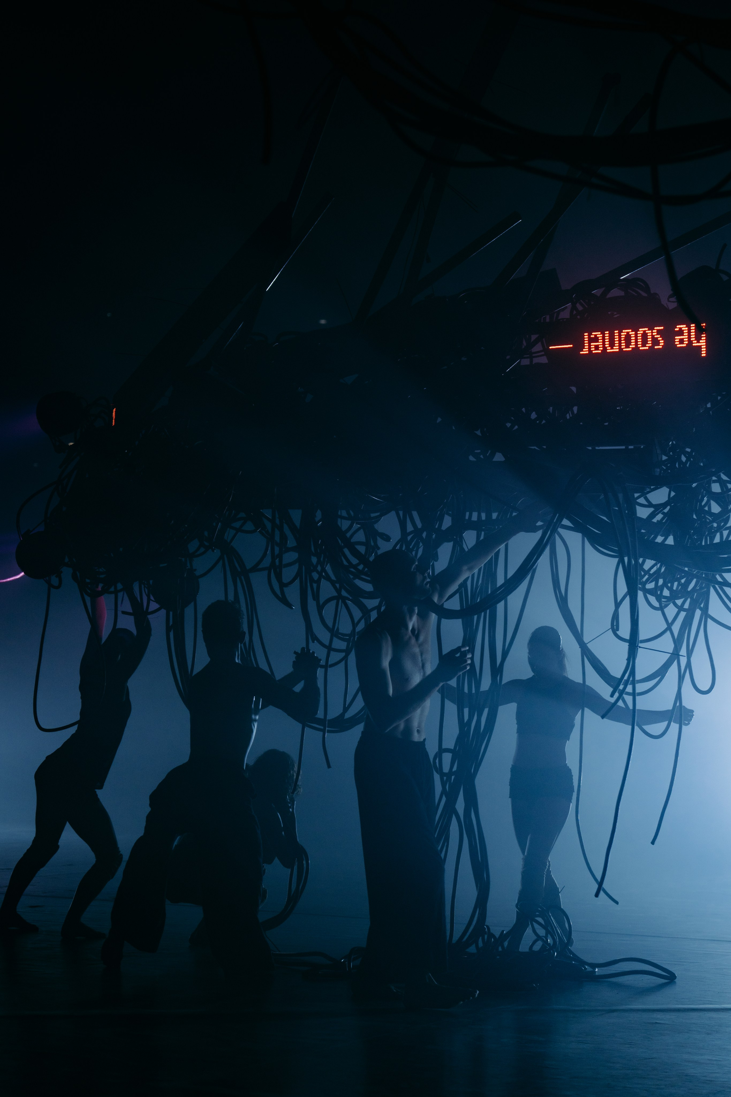 PERFORMA, The Hour of the Horse. @tomrus: Рустам Шагиморданов — фотограф