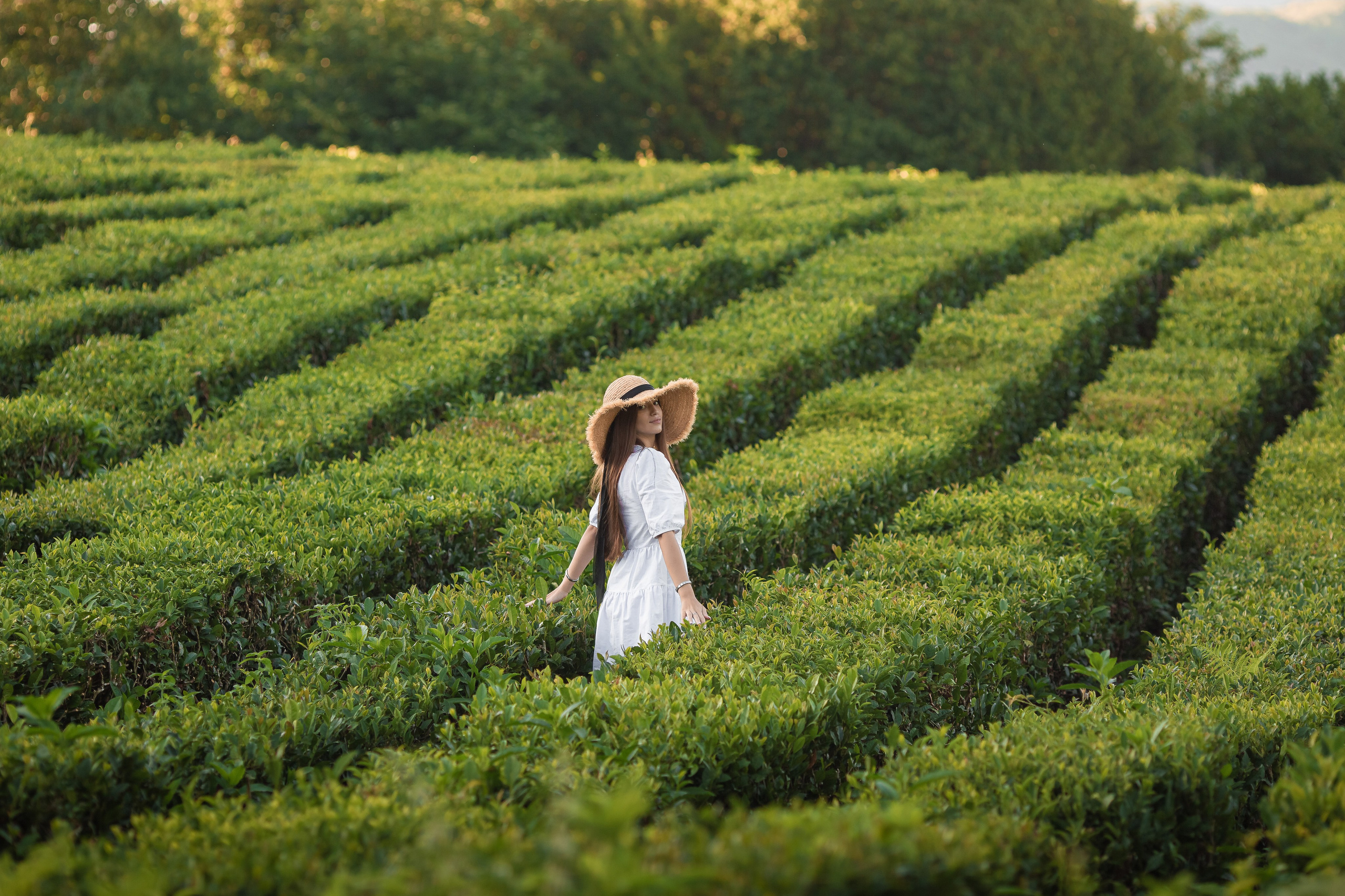 Чайная плантация. Сочи. Семейный и детский фотограф в Краснодарском крае Натали Фищенко