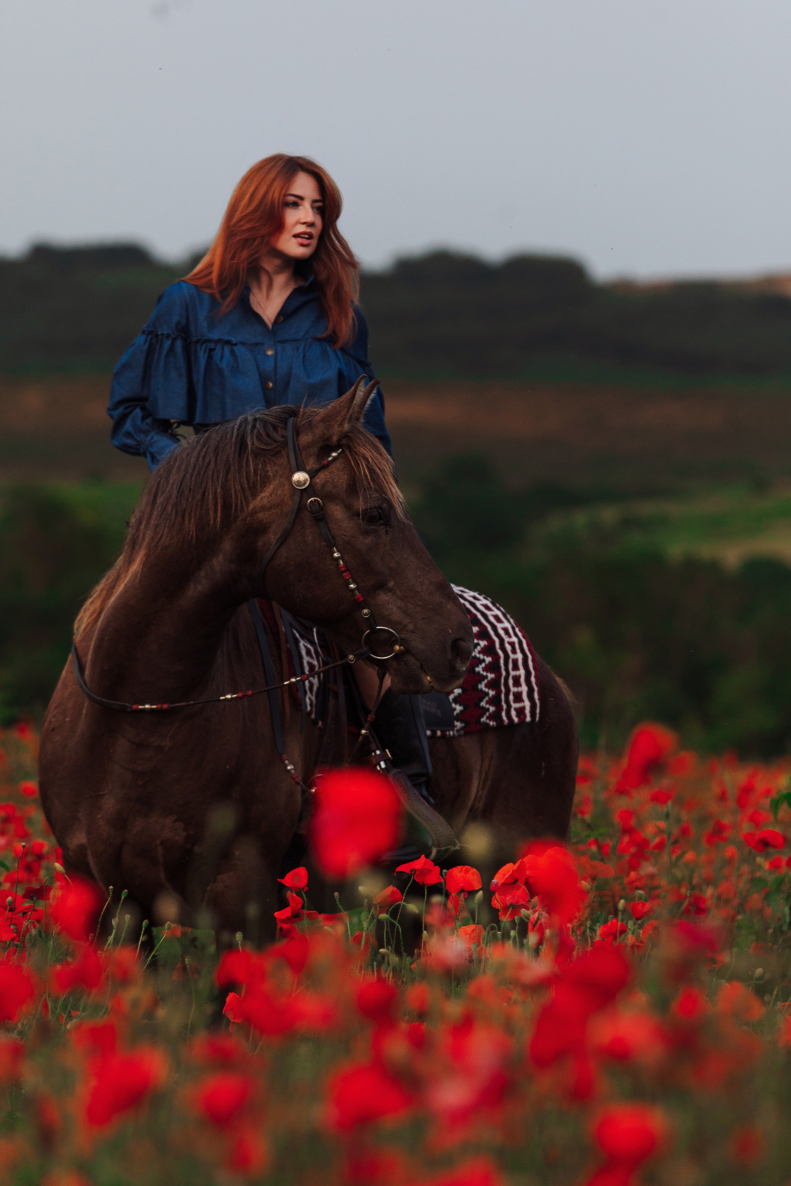 Маковые поля. Конный и театральный фотограф Анапа