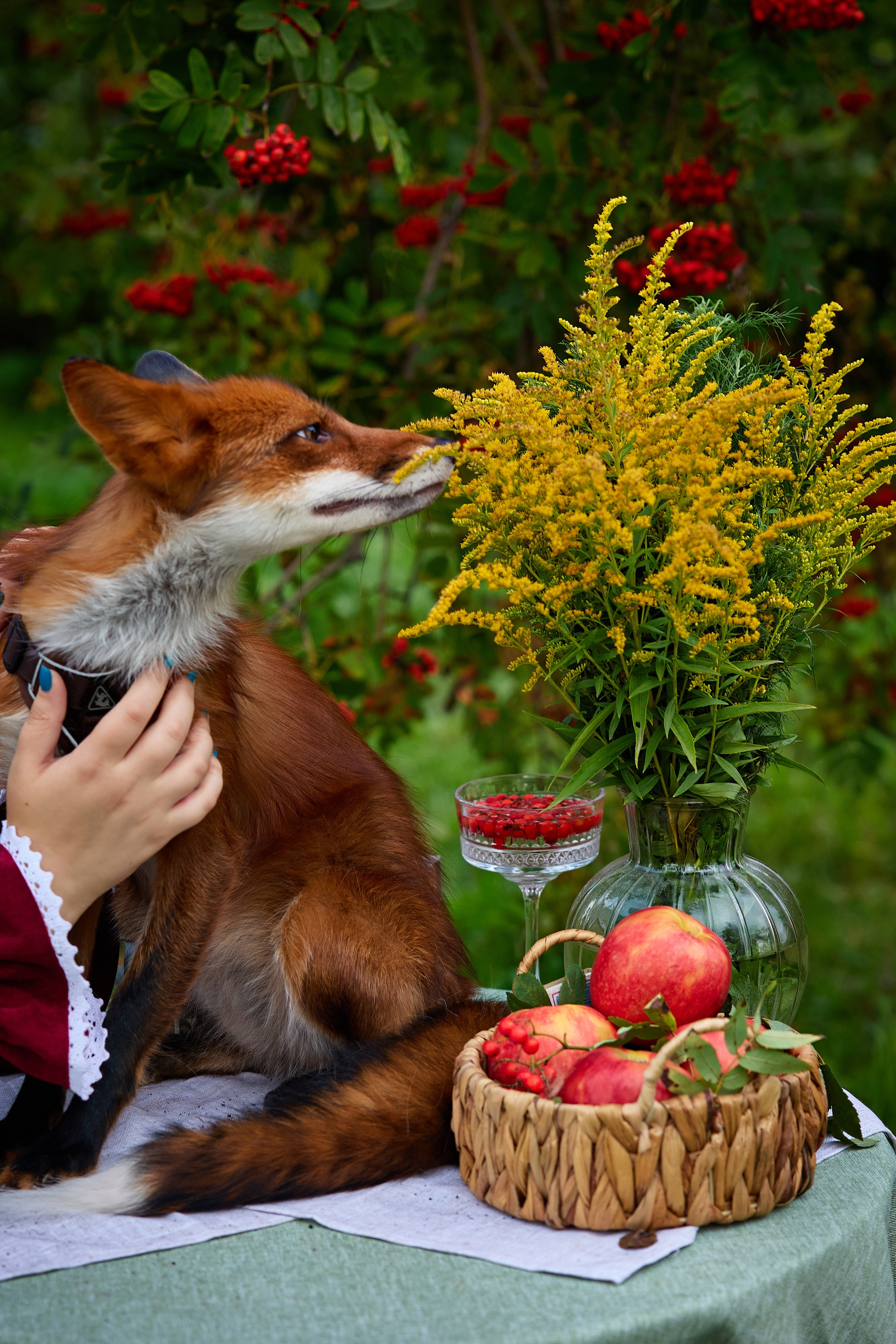 Фотопроект «Рябинка». Ярослава и Маргарита. Фотограф Люся Воробьева