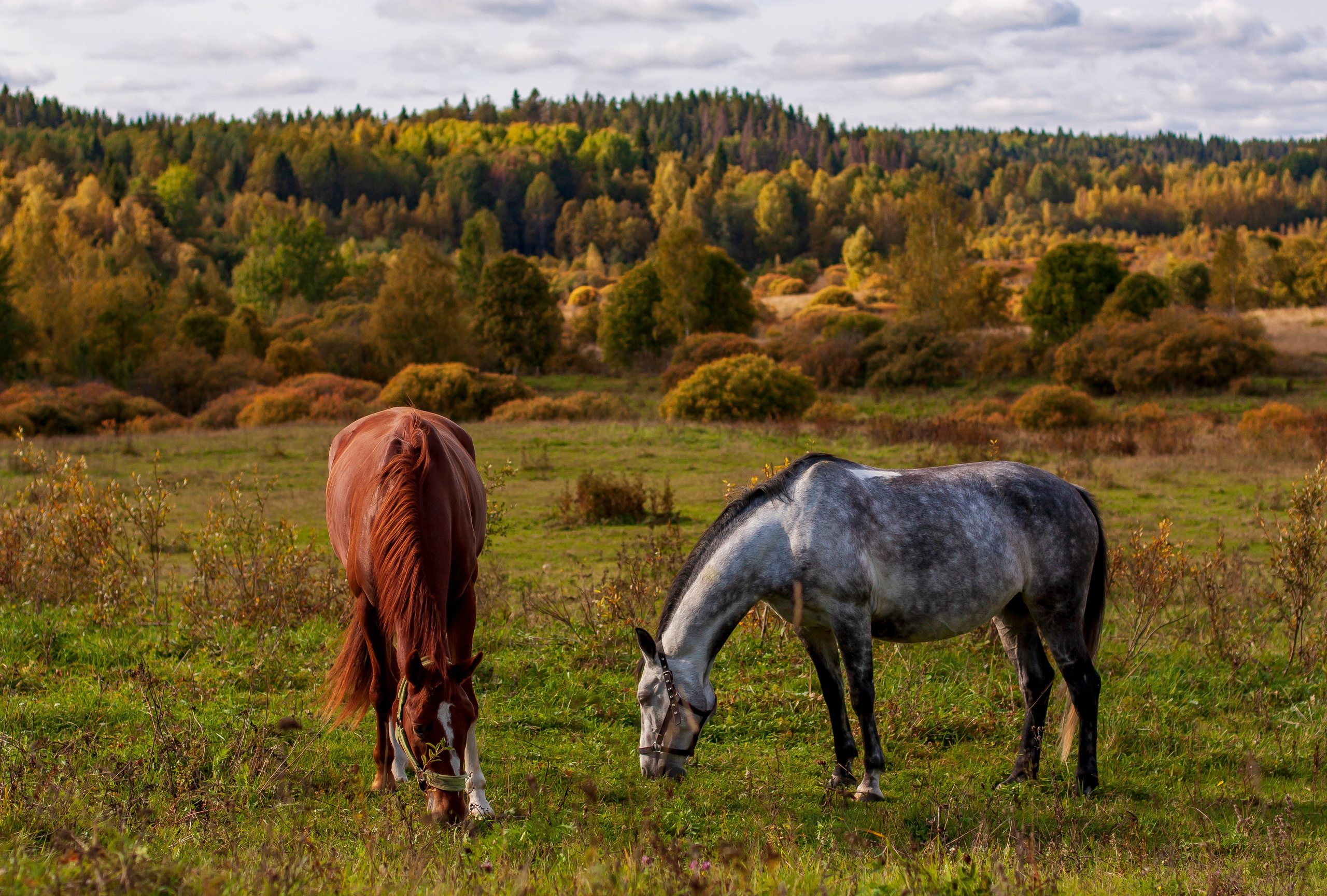 Пейзаж. Фотограф Люся Воробьева