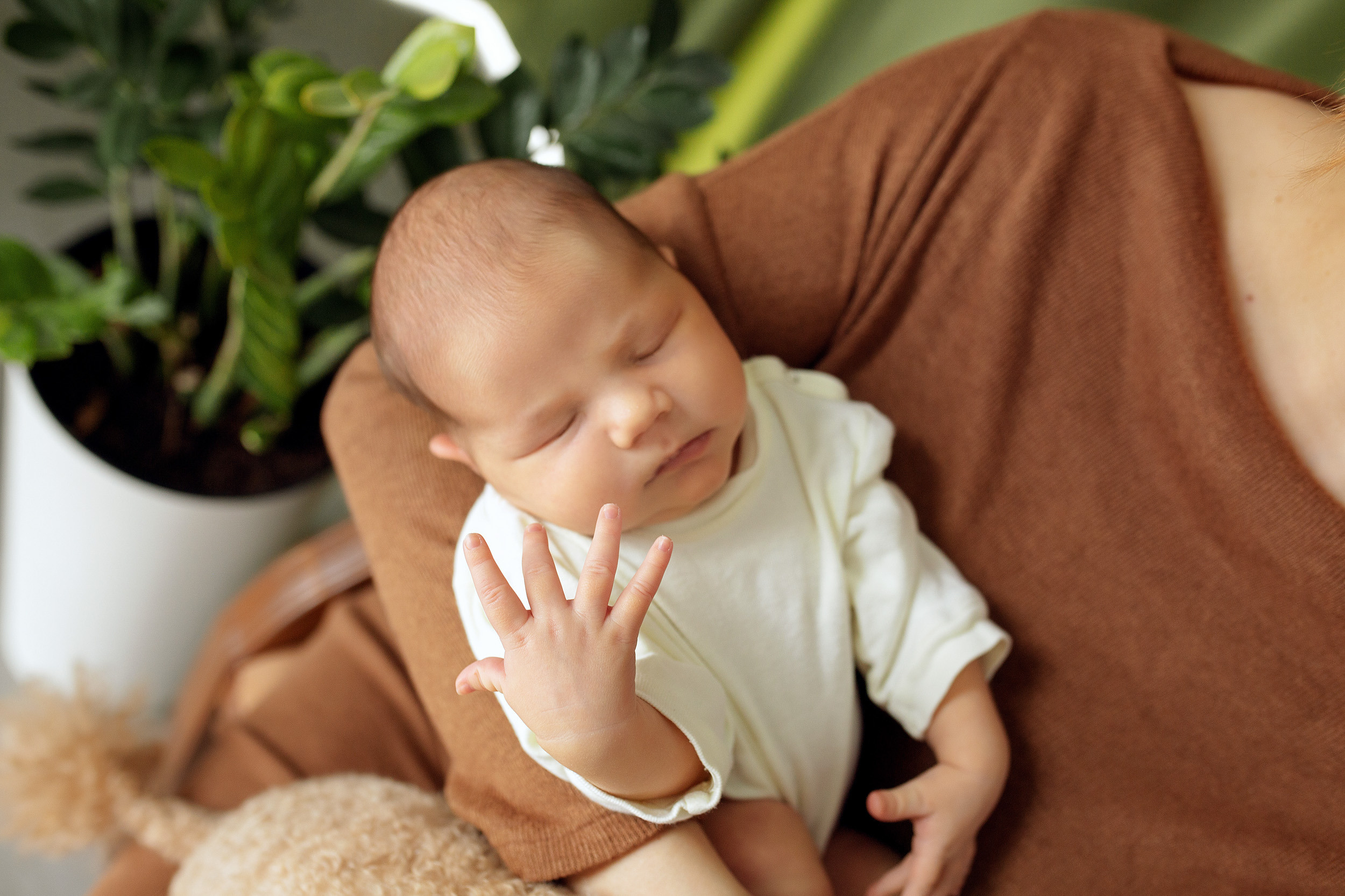 СОФИЯ домашняя Life. Фотограф новорожденных Оксана Полевская