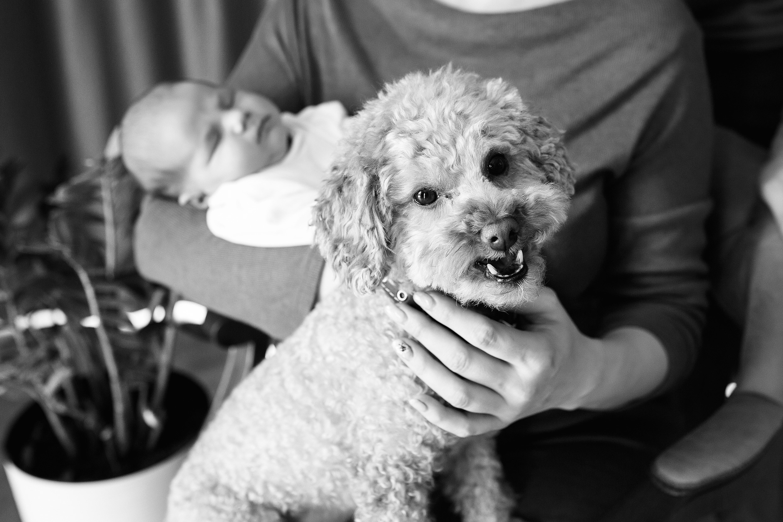 СОФИЯ домашняя Life. Фотограф новорожденных Оксана Полевская