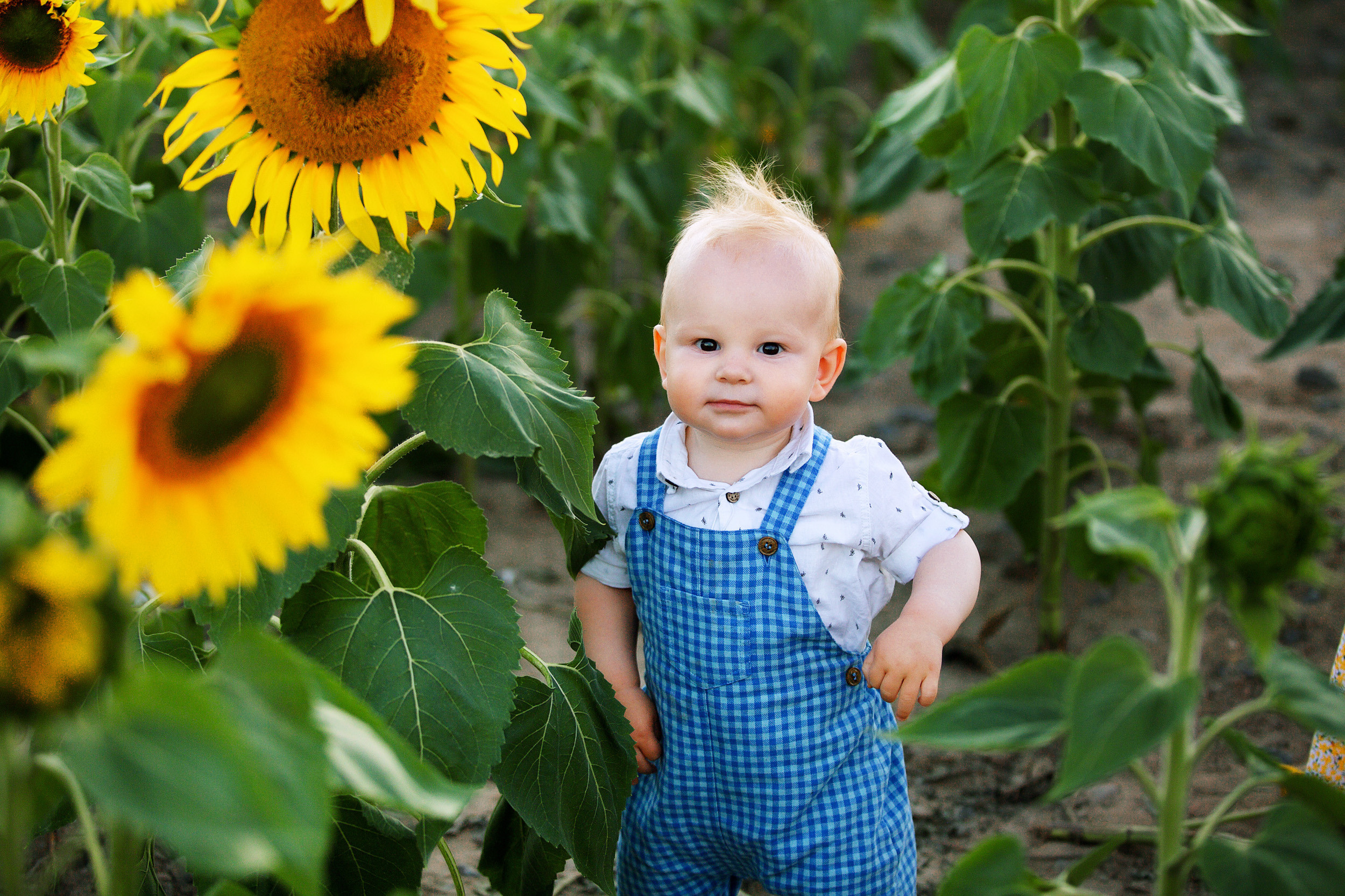 СЕМЬЯ. Фотограф новорожденных Оксана Полевская