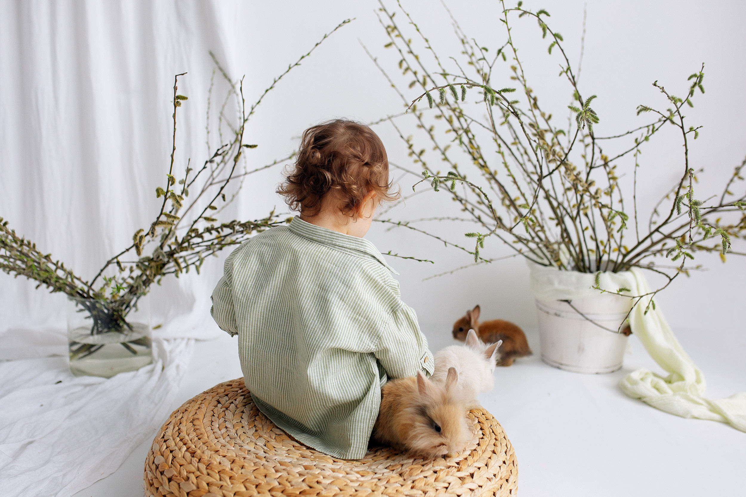 ФОТОДЕНЬ с кроликами. Фотограф новорожденных Оксана Полевская