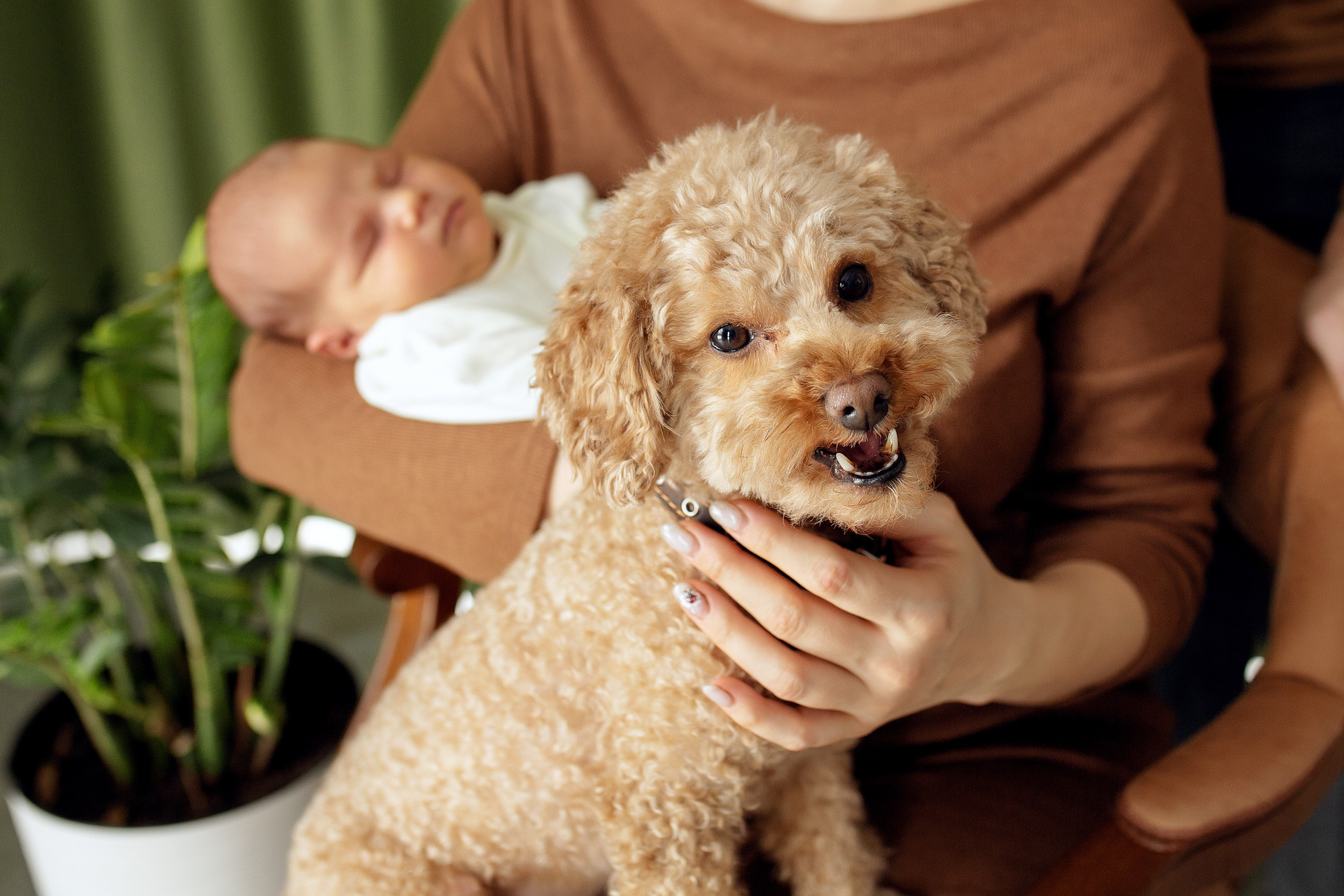 СОФИЯ домашняя Life. Фотограф новорожденных Оксана Полевская