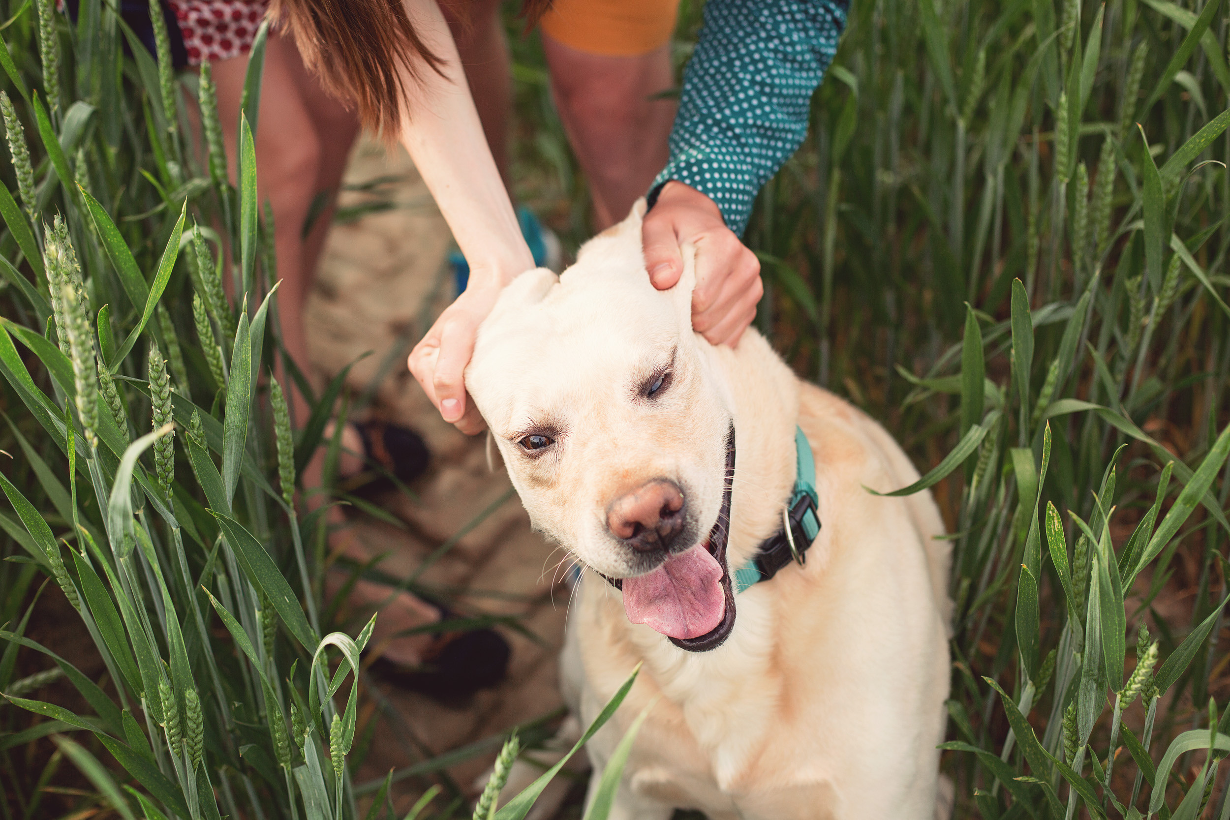 Нина, Юра и Марли. Фотограф новорожденных Оксана Полевская