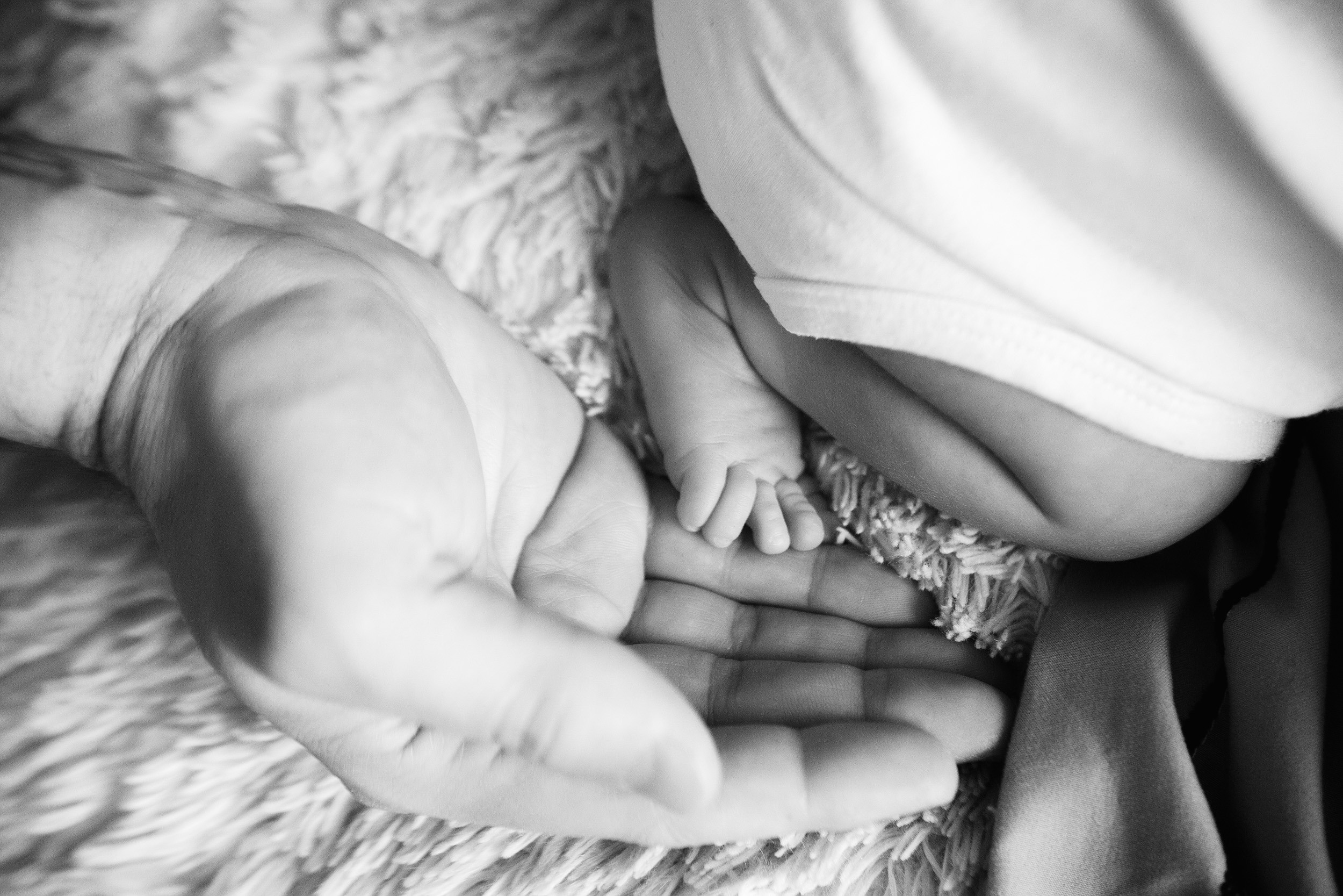 СОФИЯ домашняя Life. Фотограф новорожденных Оксана Полевская