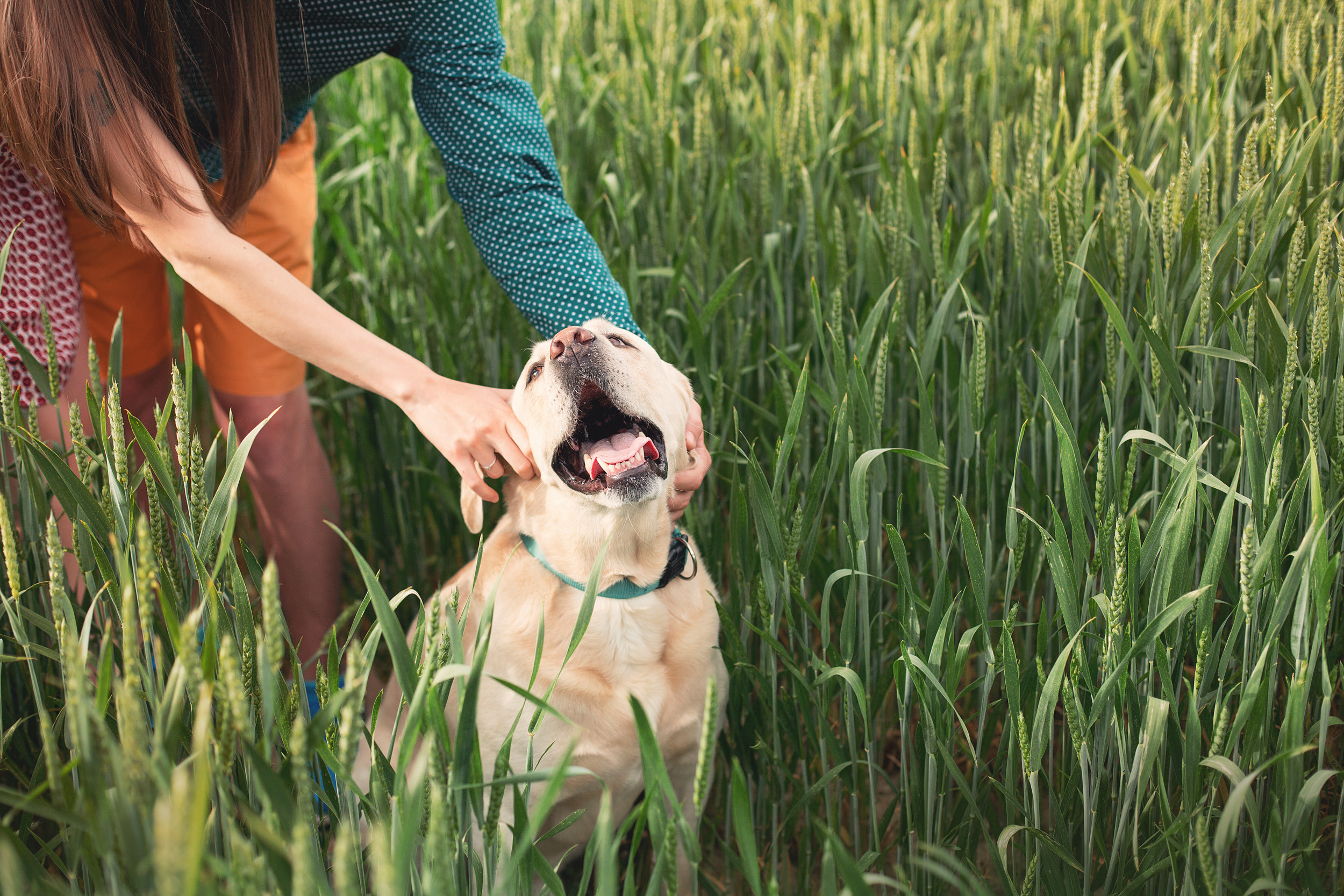 Нина, Юра и Марли. Фотограф новорожденных Оксана Полевская