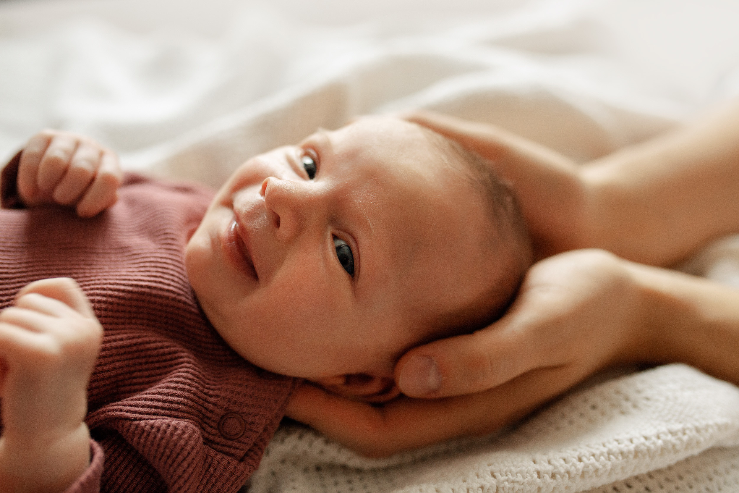 МИРА домашняя Life. Фотограф новорожденных Оксана Полевская