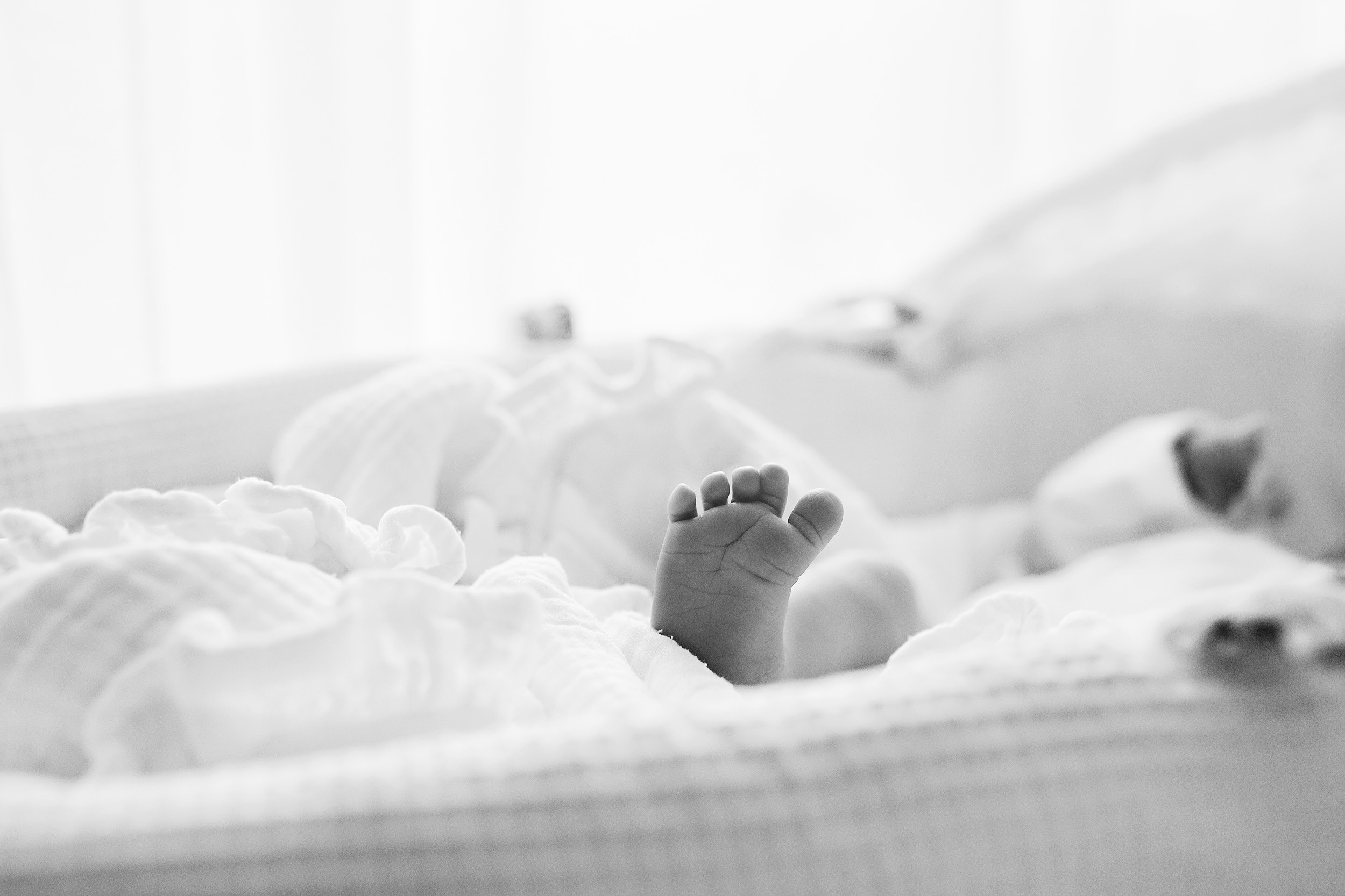 НОВОРОЖДЕННЫЕ LIFE домашнее. Фотограф новорожденных Оксана Полевская