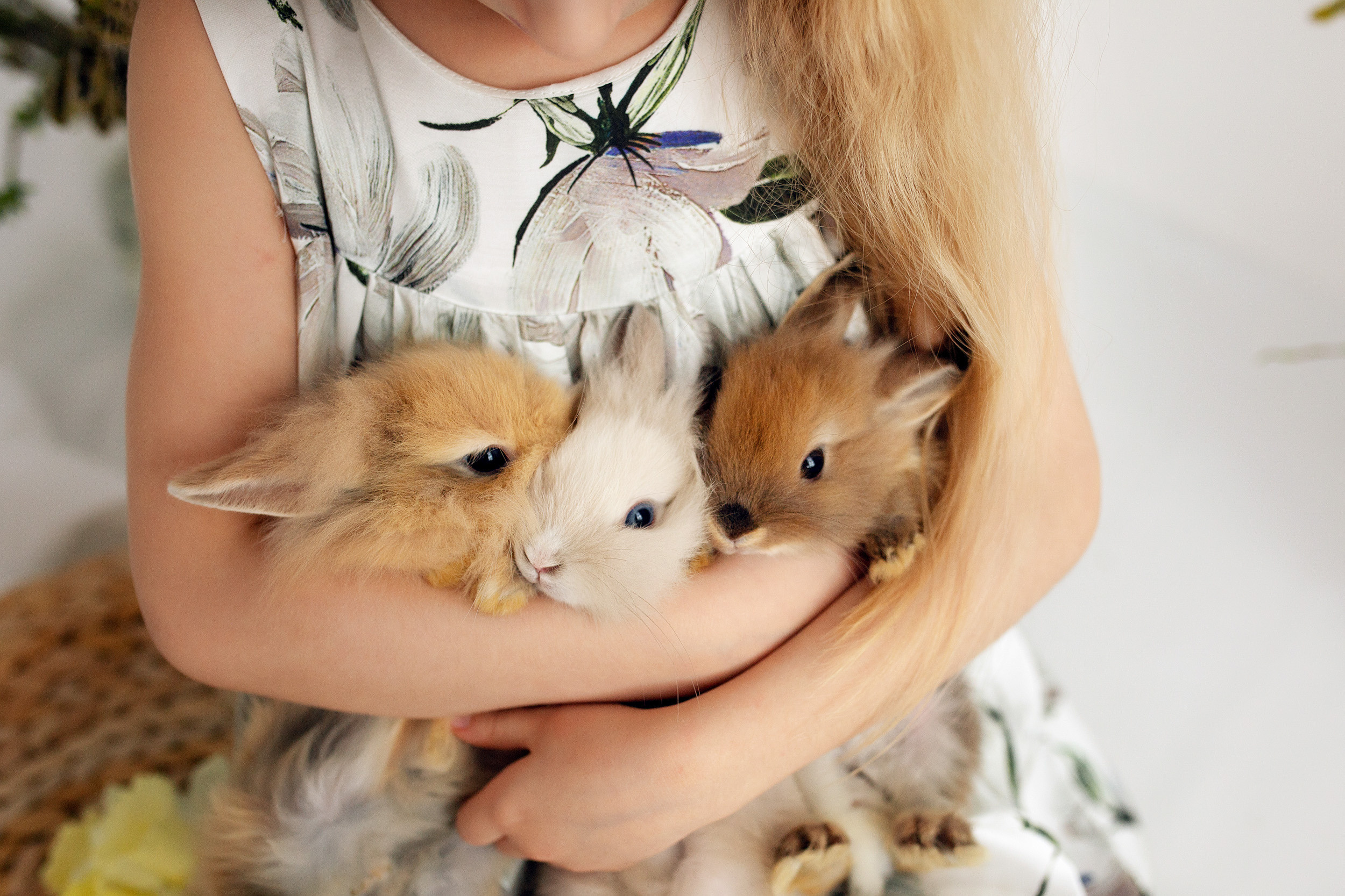 ФОТОДЕНЬ с кроликами. Фотограф новорожденных Оксана Полевская