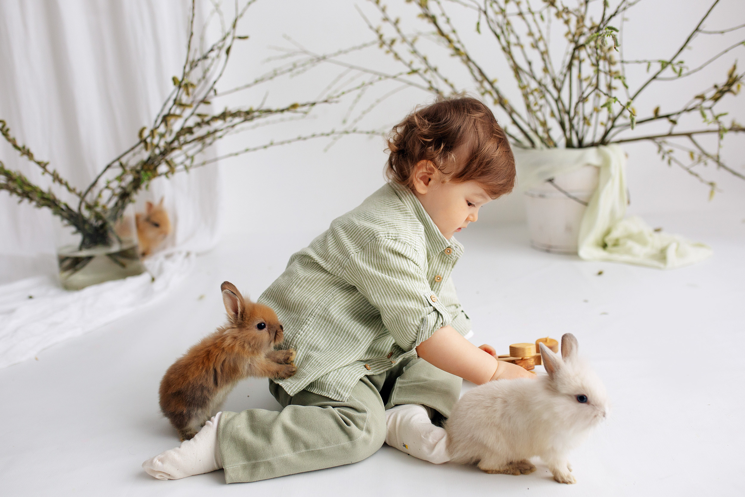 ФОТОДЕНЬ с кроликами. Фотограф новорожденных Оксана Полевская