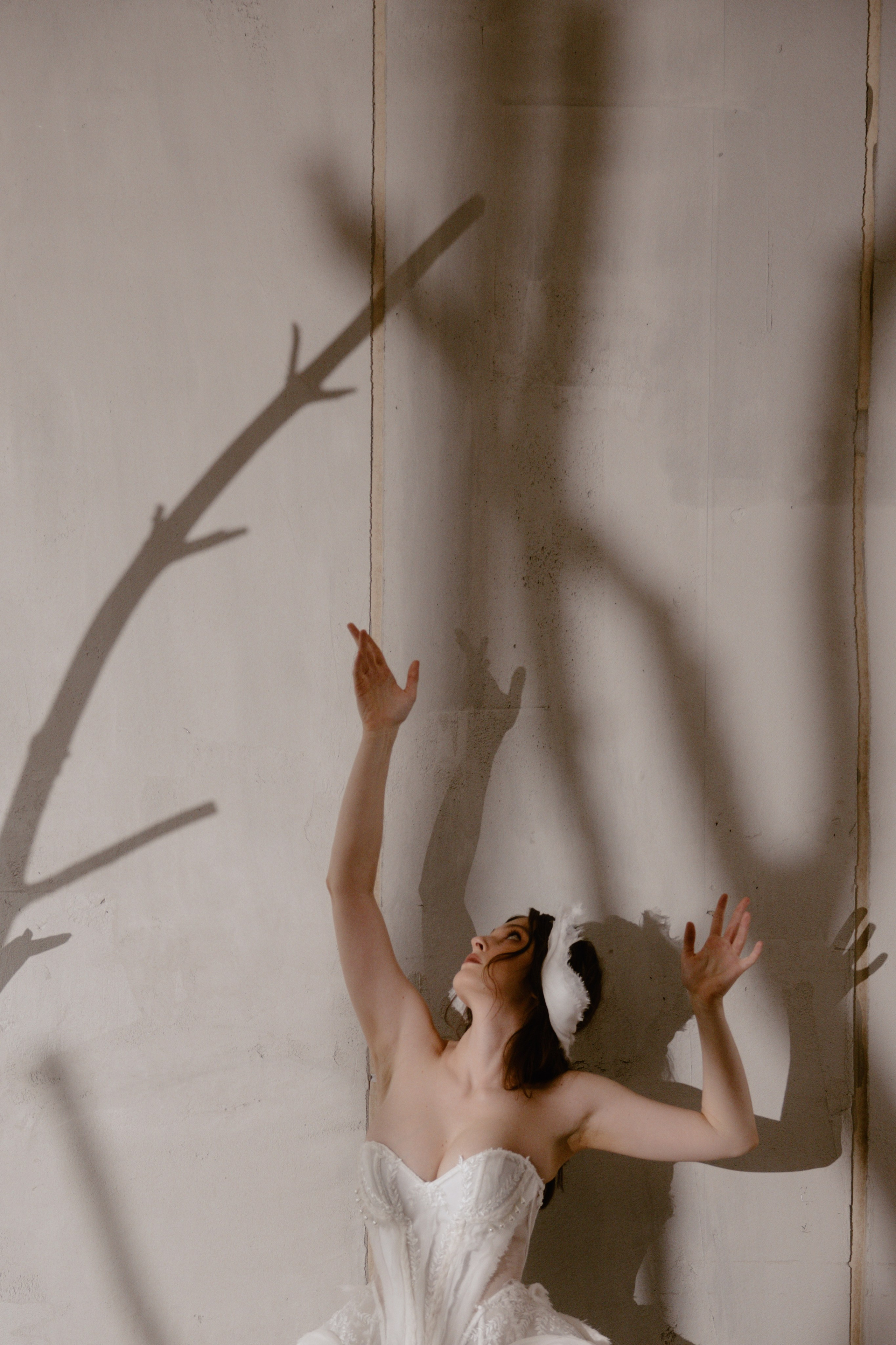 Лебедушка. Свадебный фотограф / Reels Нижний Новгород Татьяна Красильникова