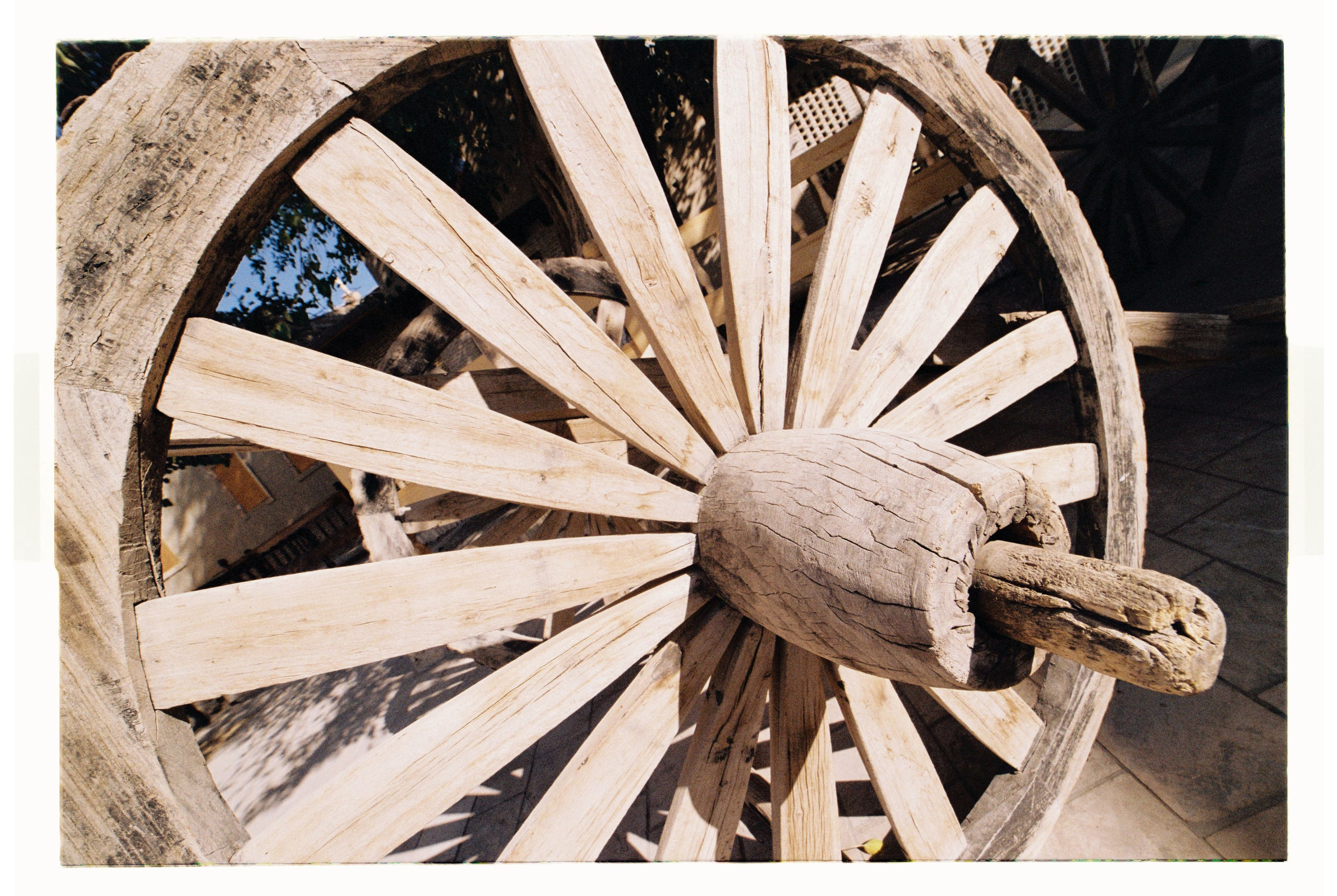 Uzbekistan. Егор Фотобрат — Портретный фотограф теперь в Ташкенте