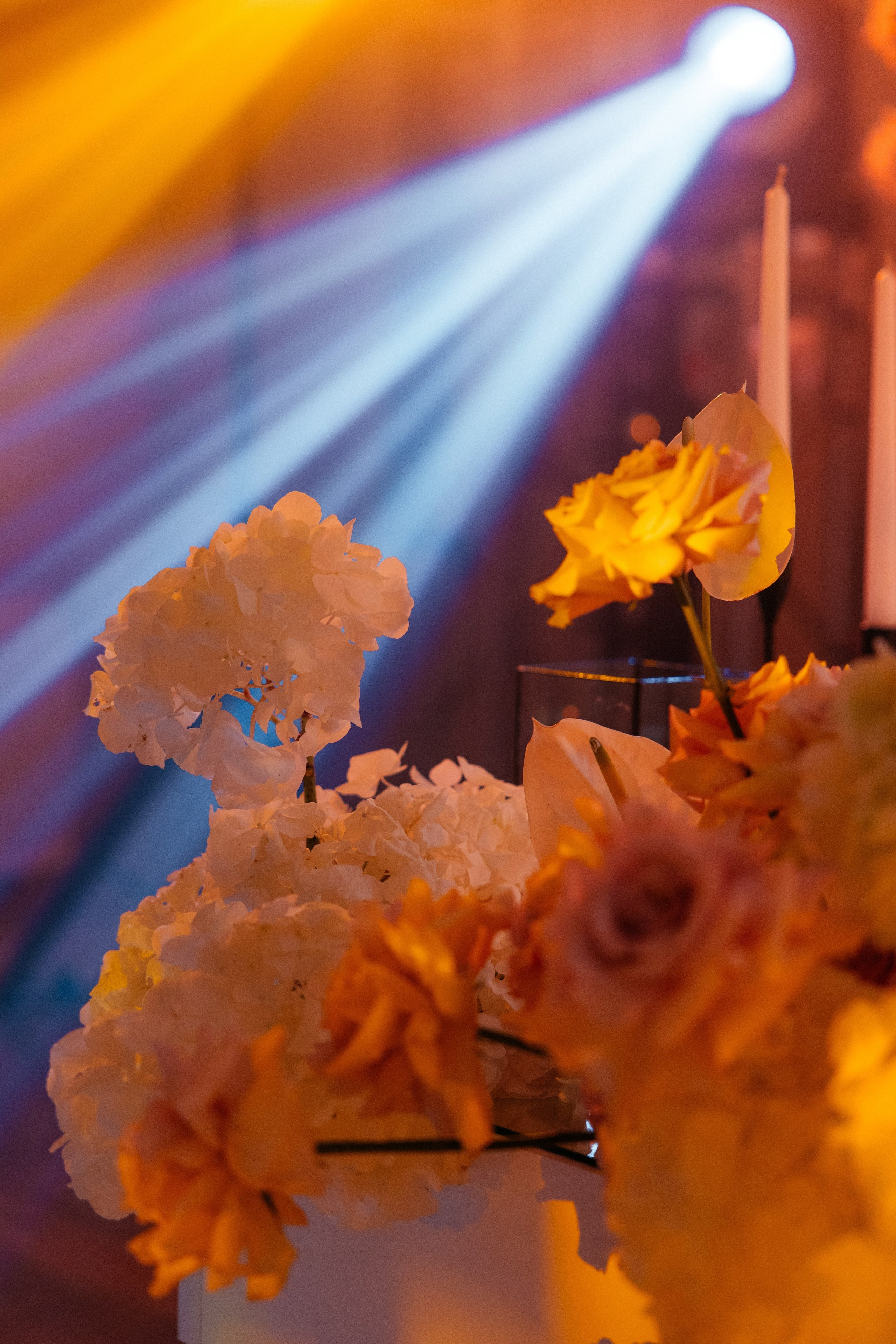 Ангелина и Сергей. Свадебный фотограф Минск РБ