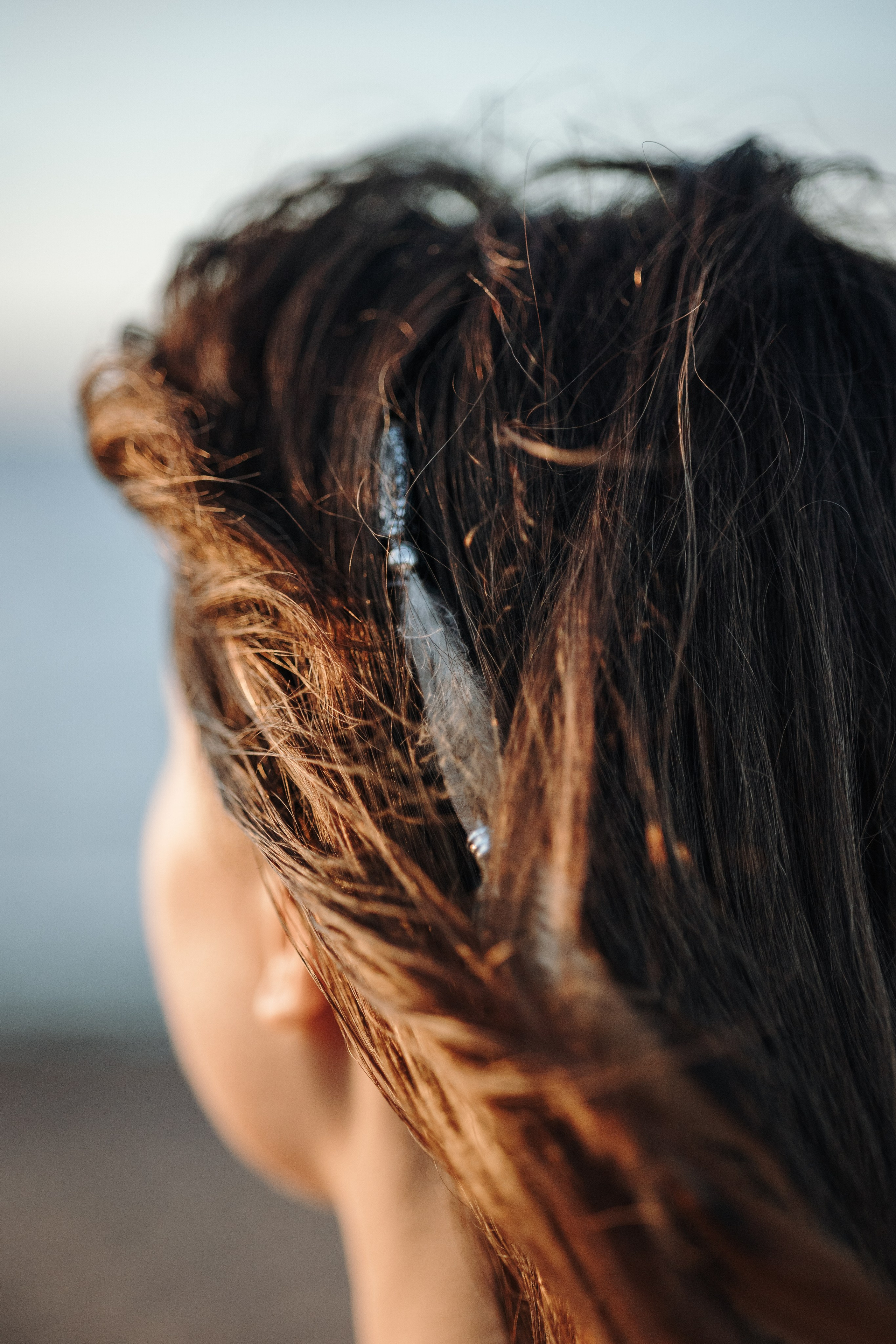 Верон, Гарри и их семья. Фотограф — Анималист | Санкт-Петербург