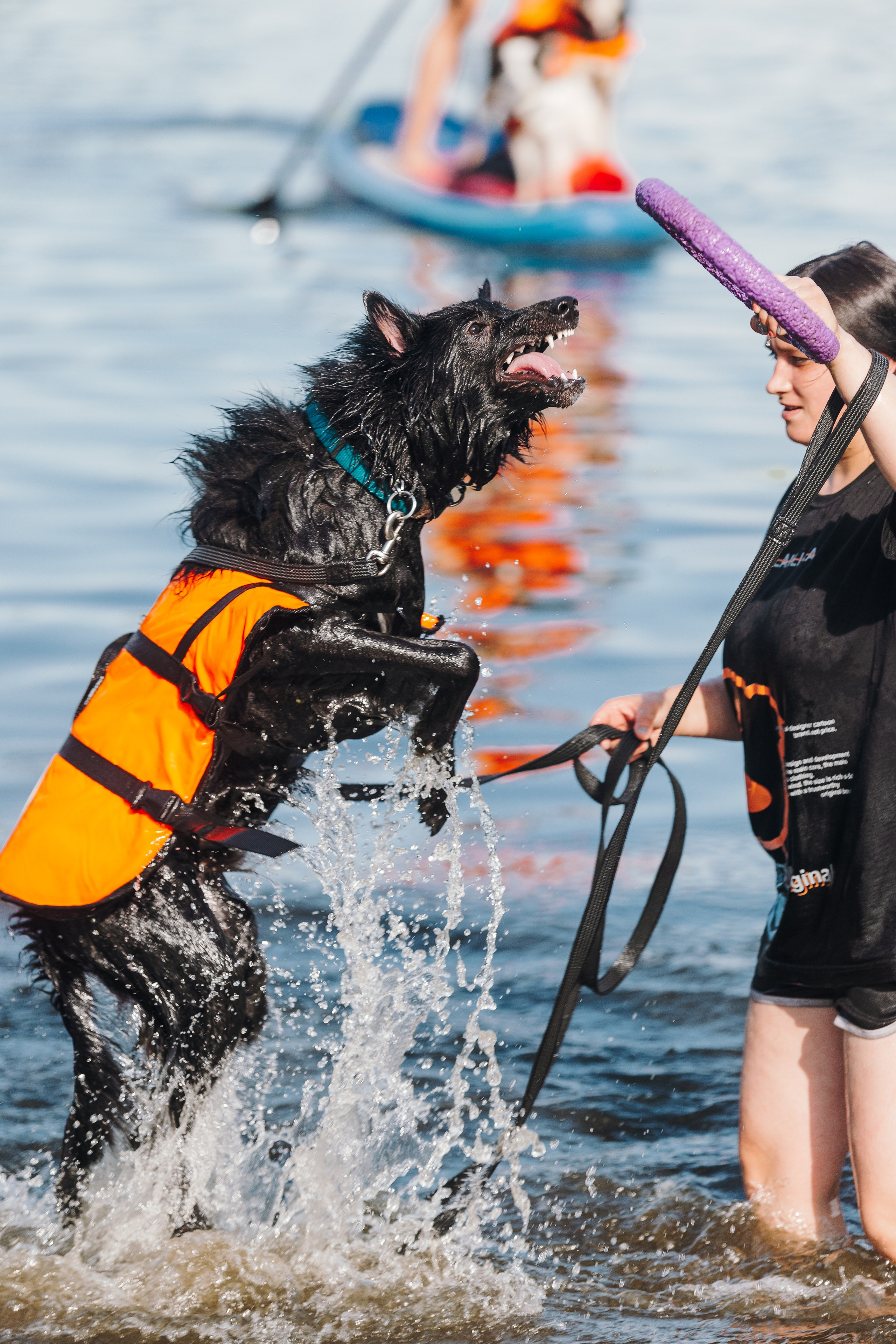 Petshop Sup day. Фотограф анималист Кристина Карпова, Москва