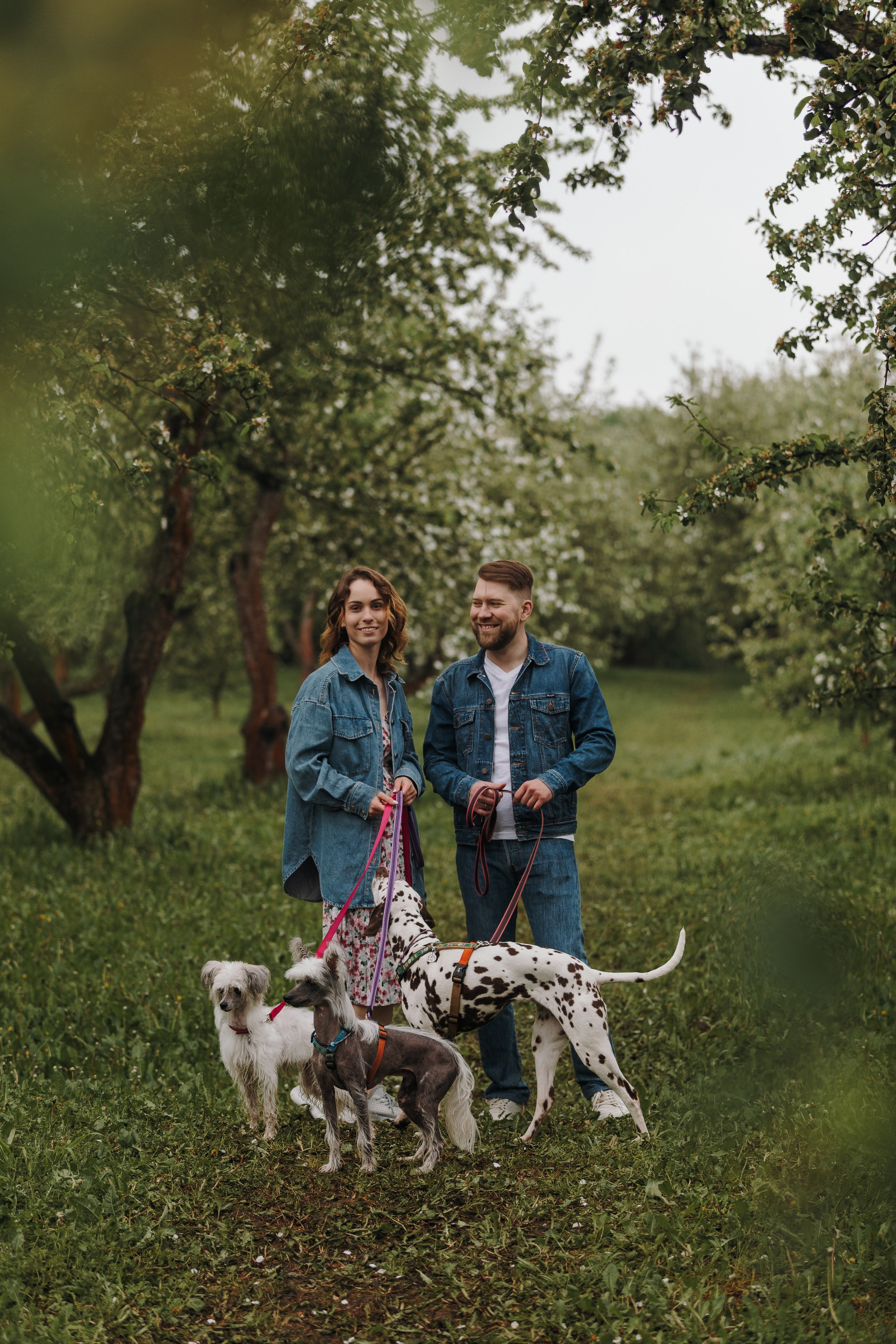 Лили, Уся, Вика и их семья. Фотограф анималист Кристина Карпова, Москва