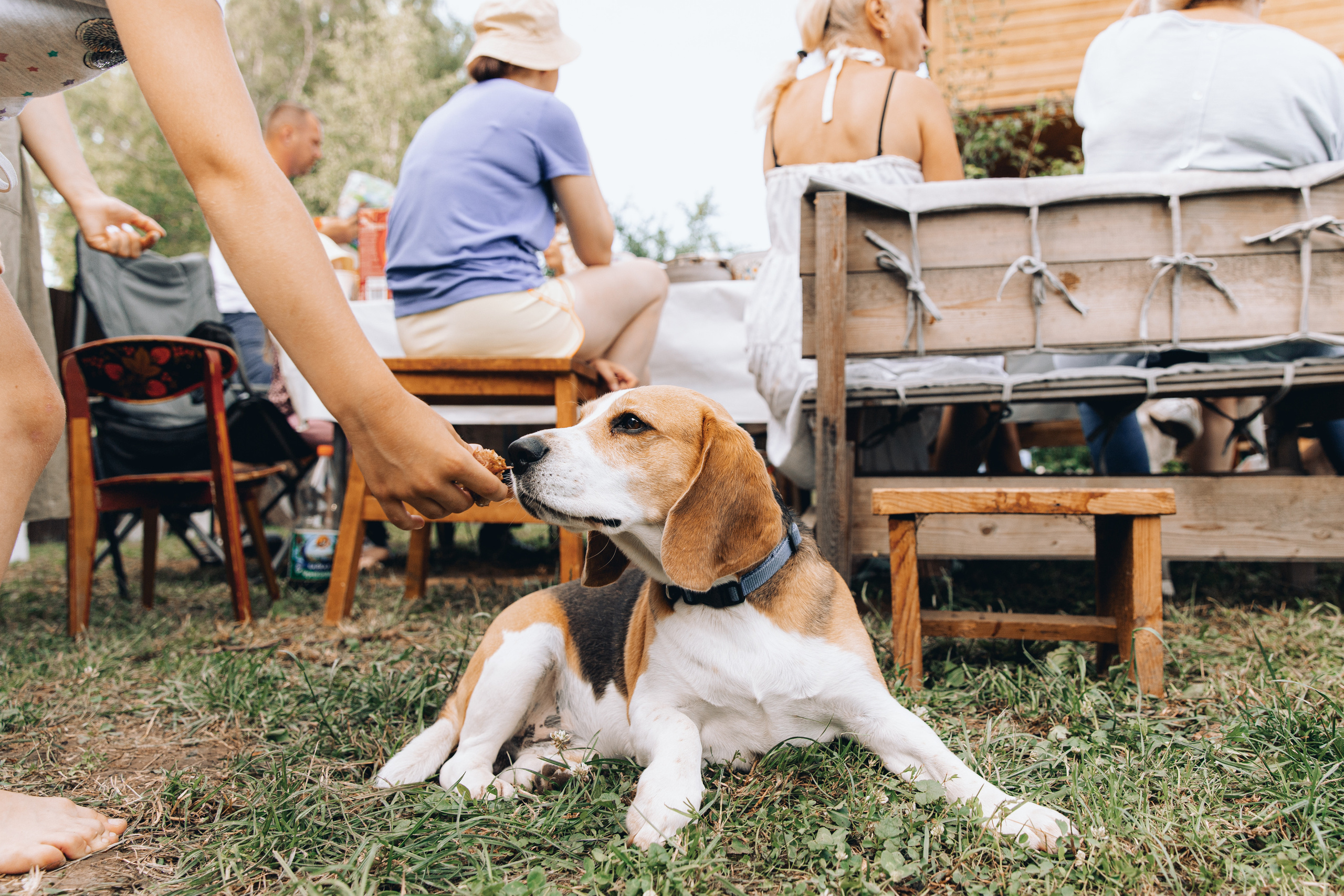 Семейный альбом 10. Свадебный и семейный фотограф Егорова Юлия