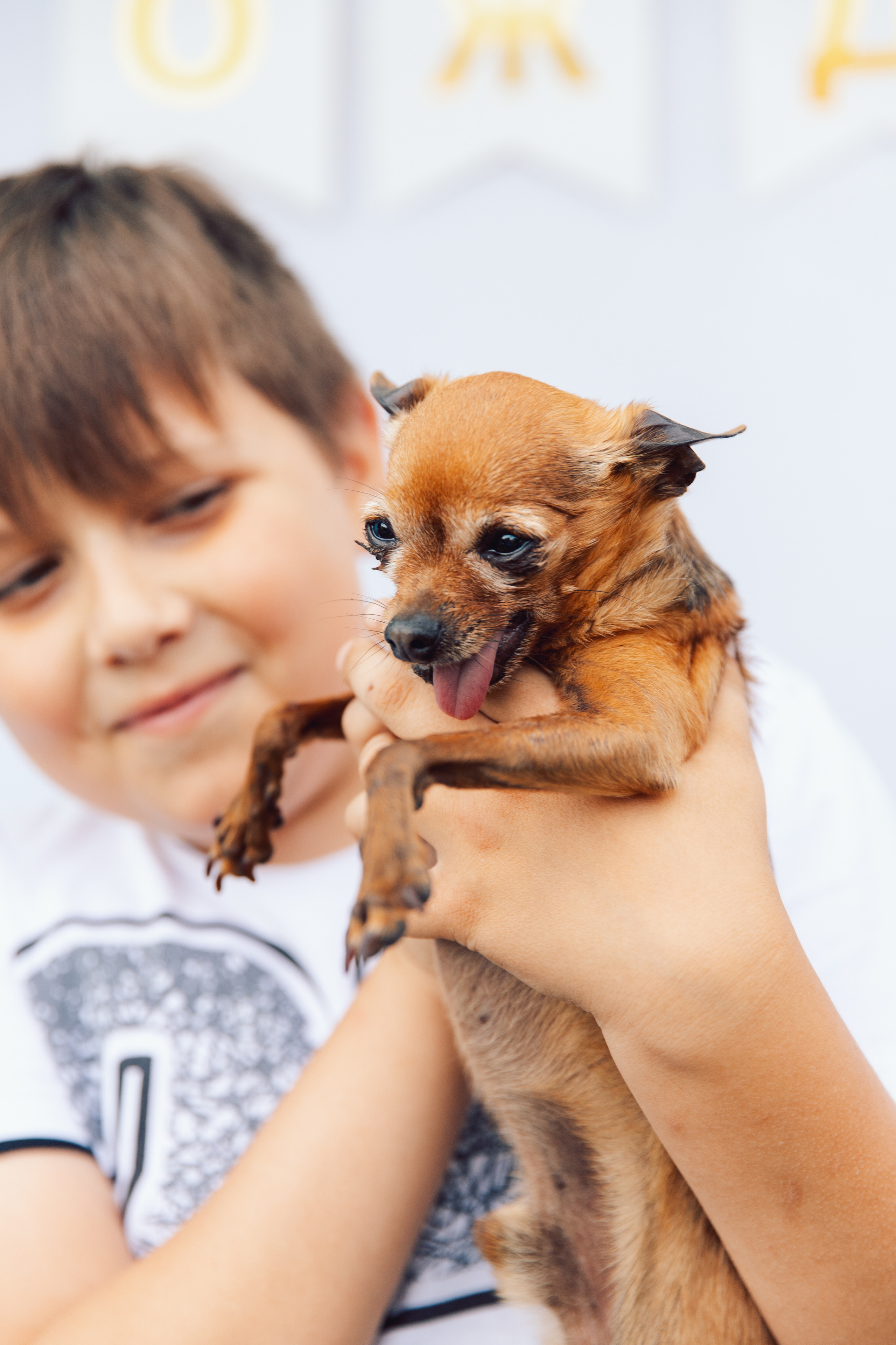 Семейный альбом 10. Свадебный и семейный фотограф Егорова Юлия