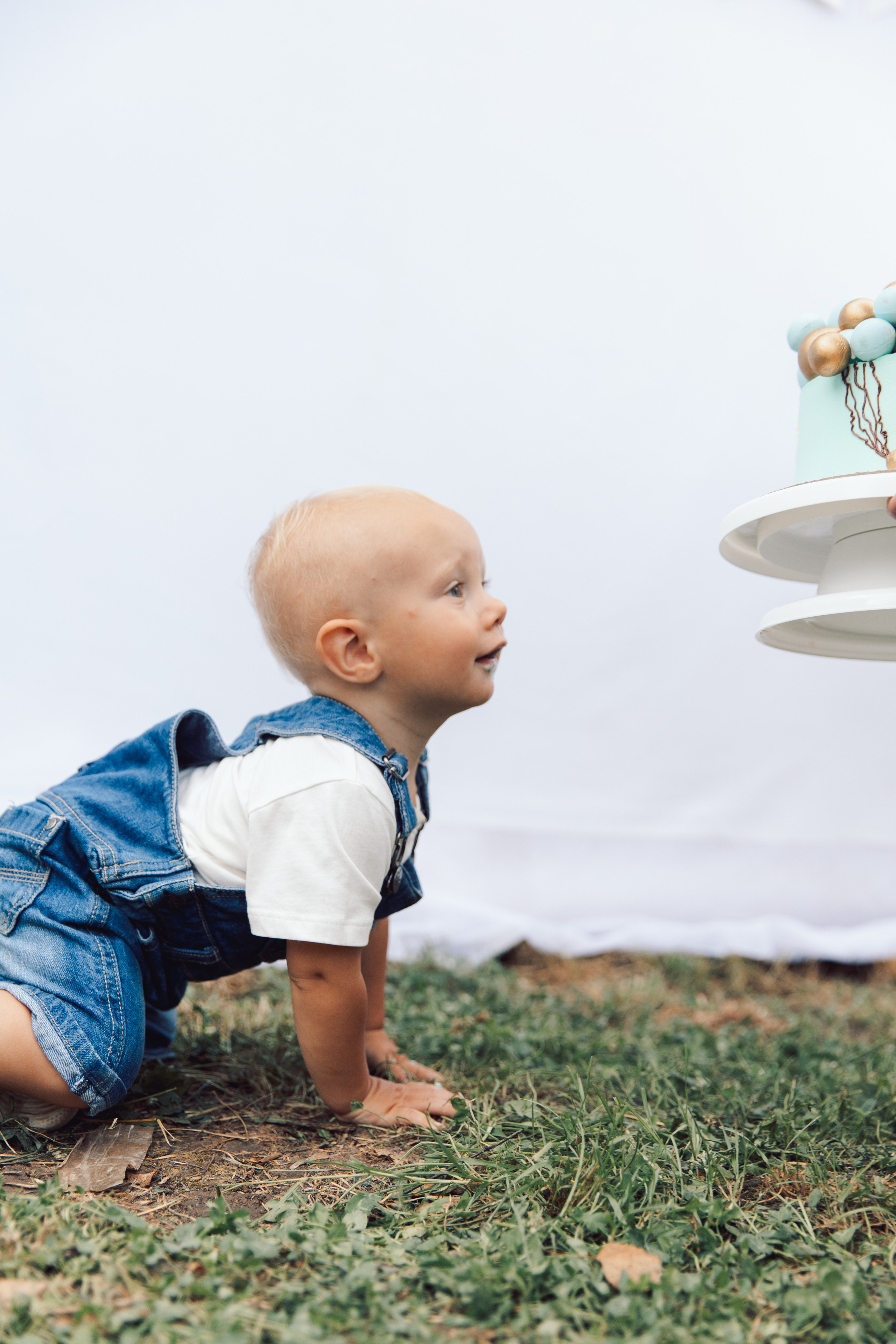 Семейный альбом 10. Свадебный и семейный фотограф Егорова Юлия
