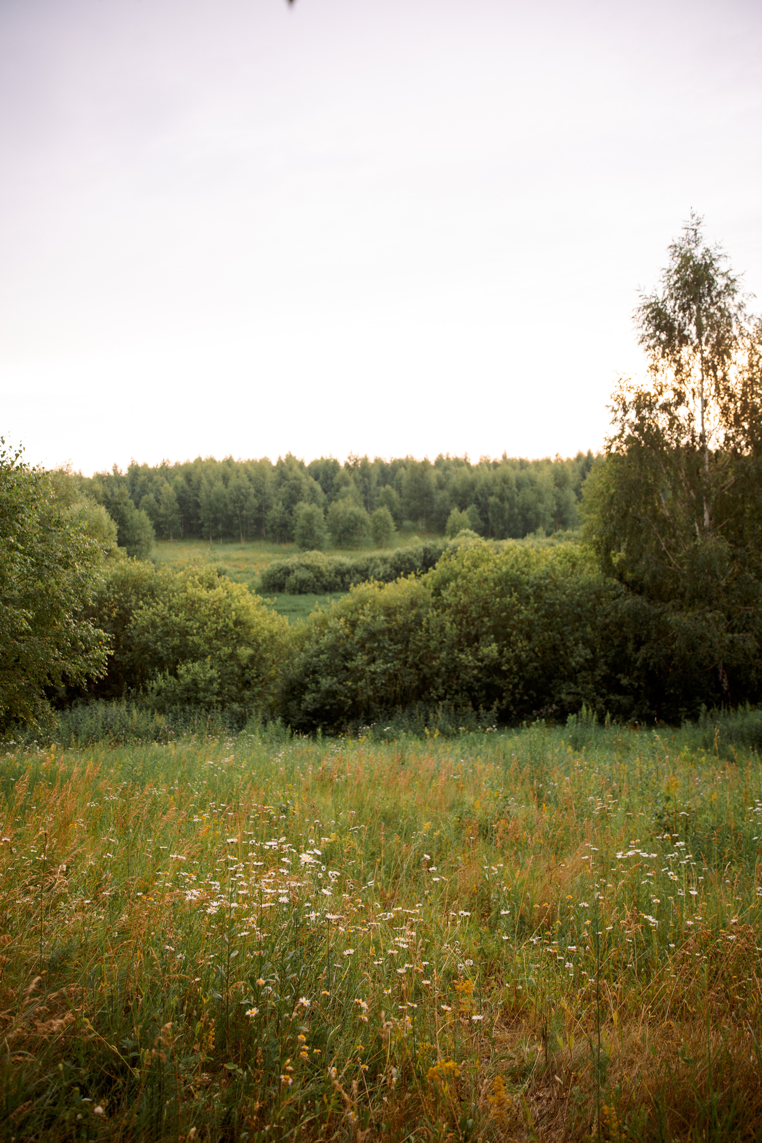 Анастасия. Свадебный и семейный фотограф Егорова Юлия