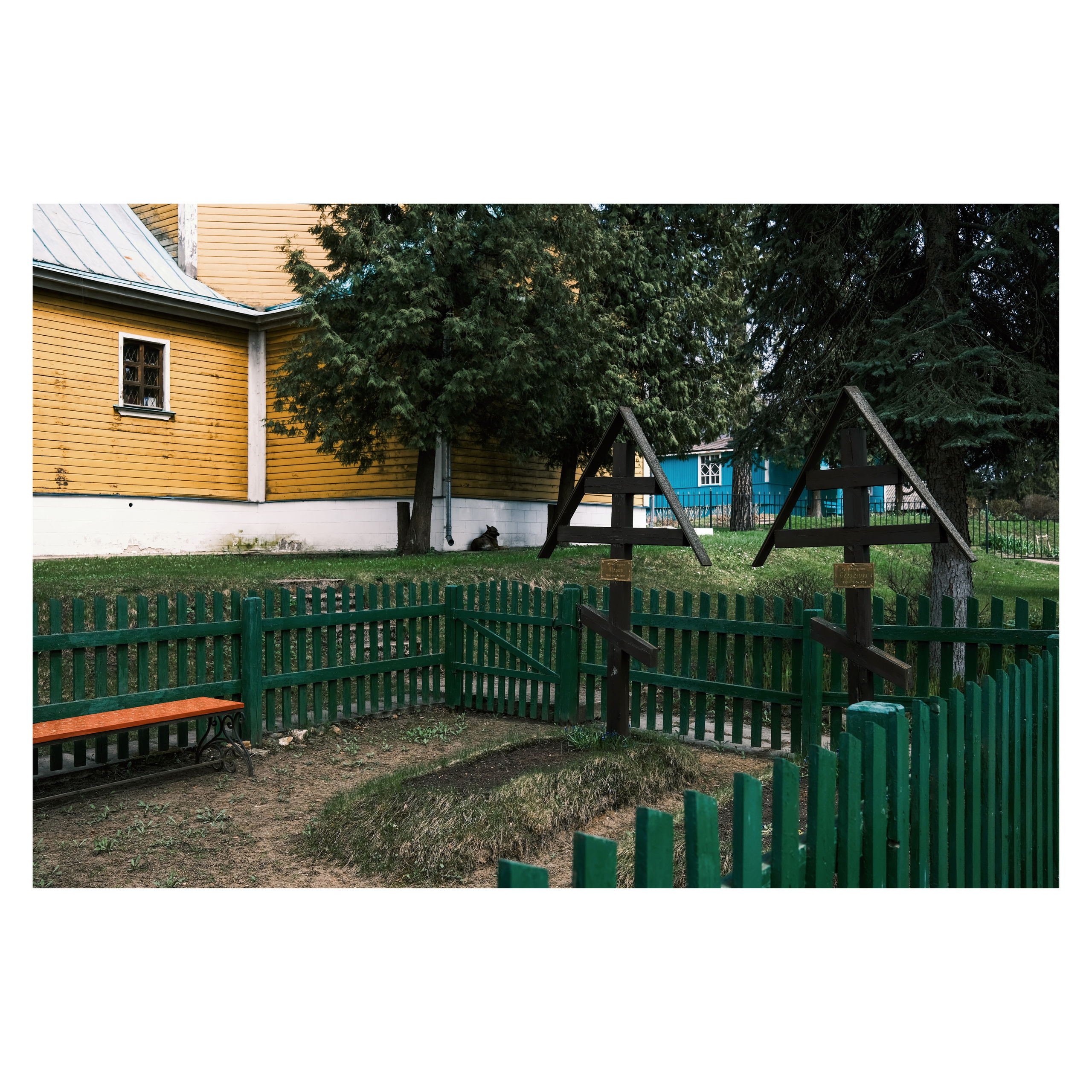 DMITLAG: Memorial, May-June 2022. Photographer in Israel Alice Milchin